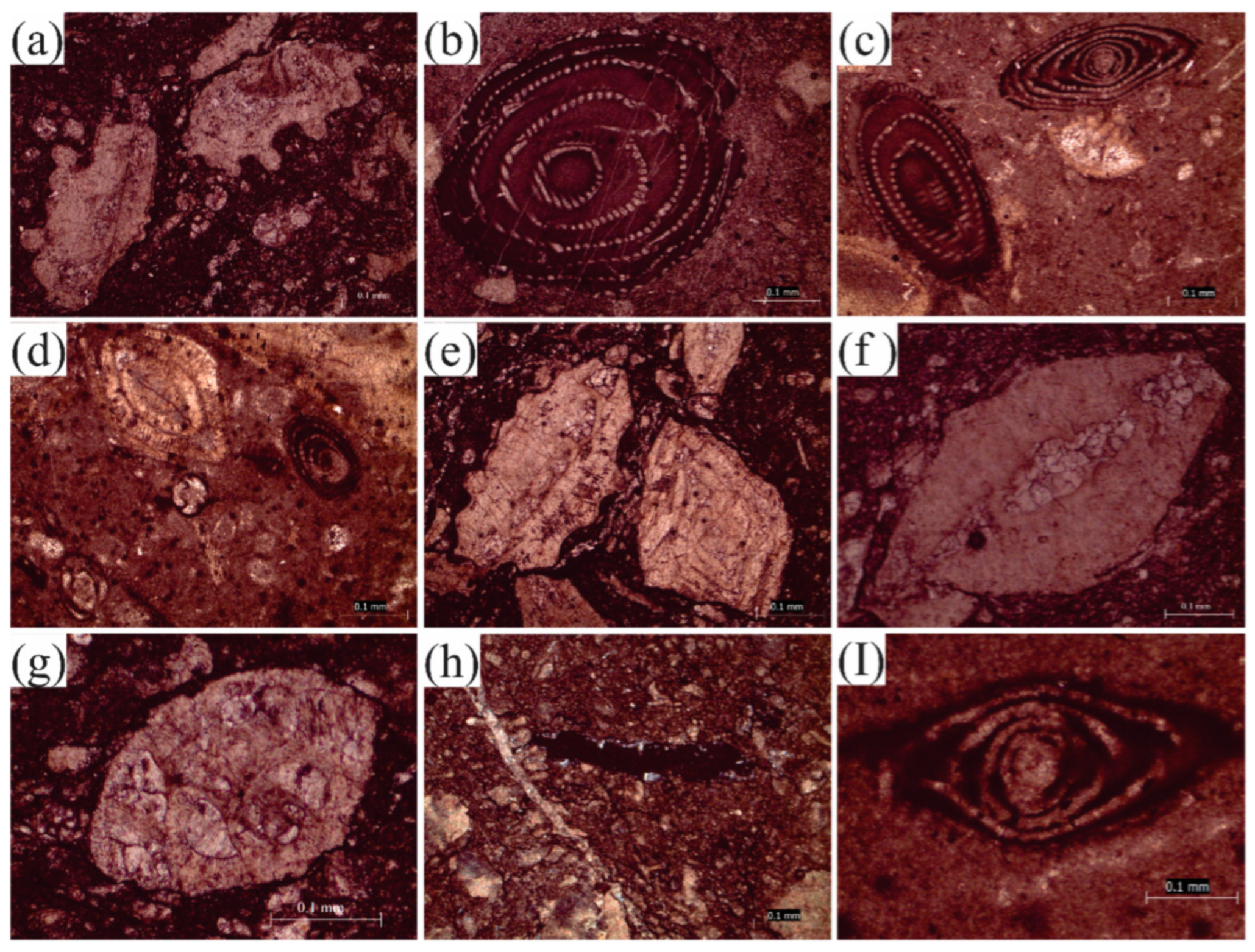 Jmse 10 01794 g012 Jmse 10 01794 g012