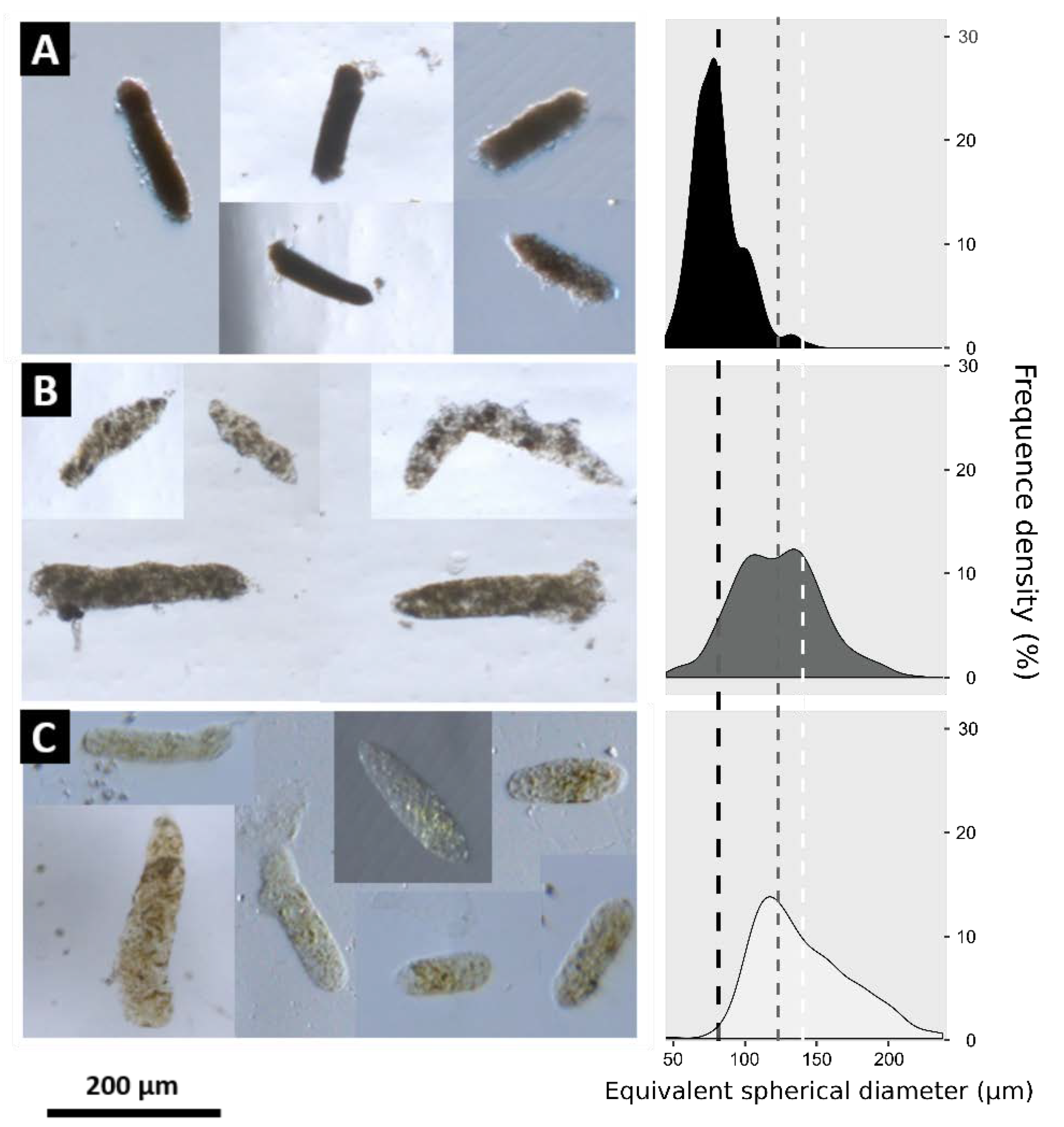 Jmse 10 01807 g003 Jmse 10 01807 g003