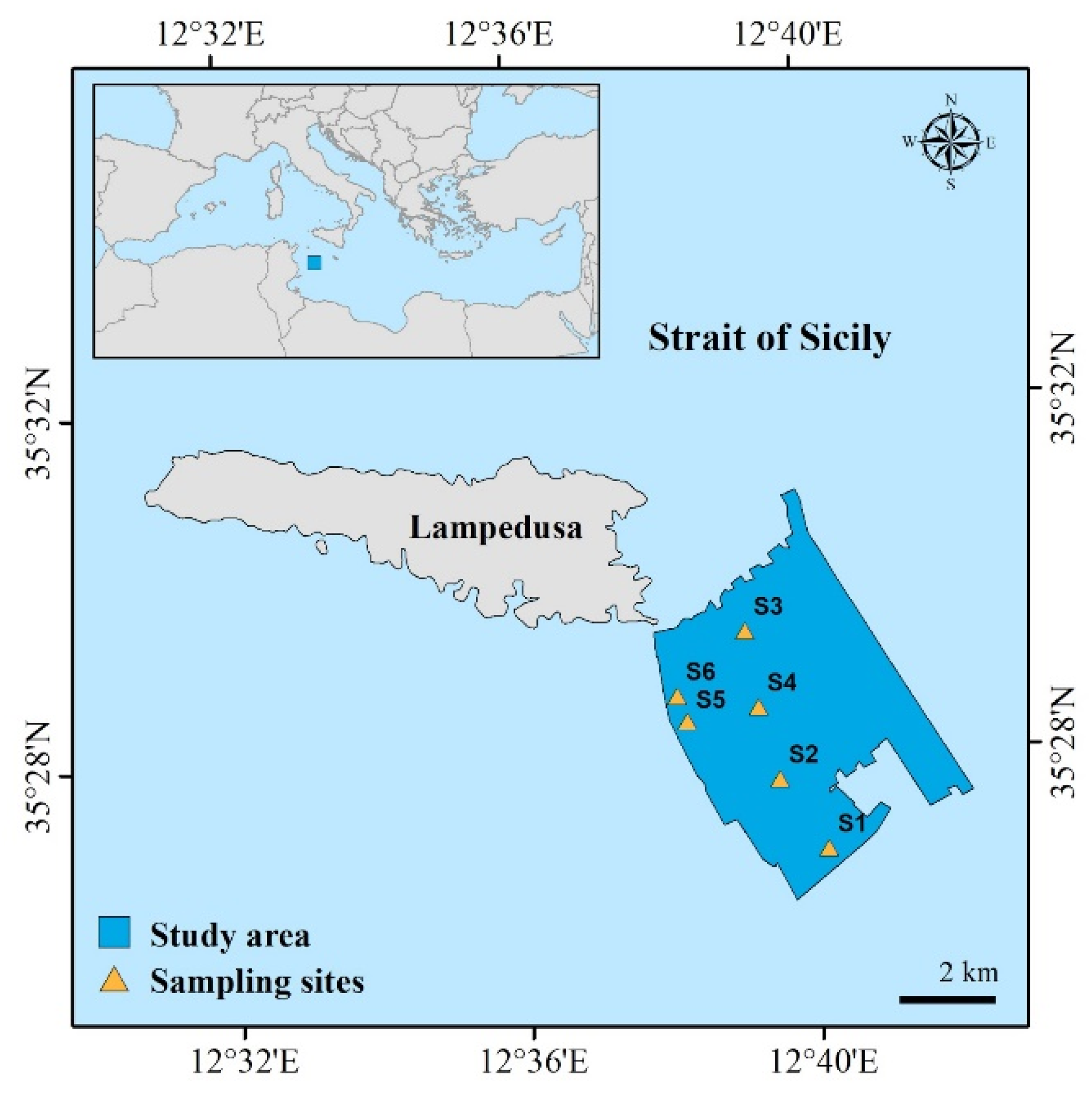 JMSE | Free Full-Text | Sneaking into a Hotspot of Biodiversity: Coverage  and Integrity of a Rhodolith Bed in the Strait of Sicily (Central  Mediterranean Sea)