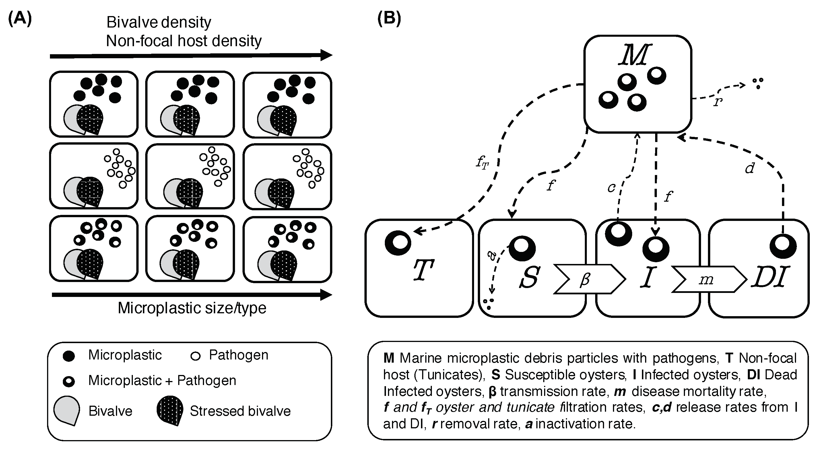 Jmse 10 01837 g001 Jmse 10 01837 g001