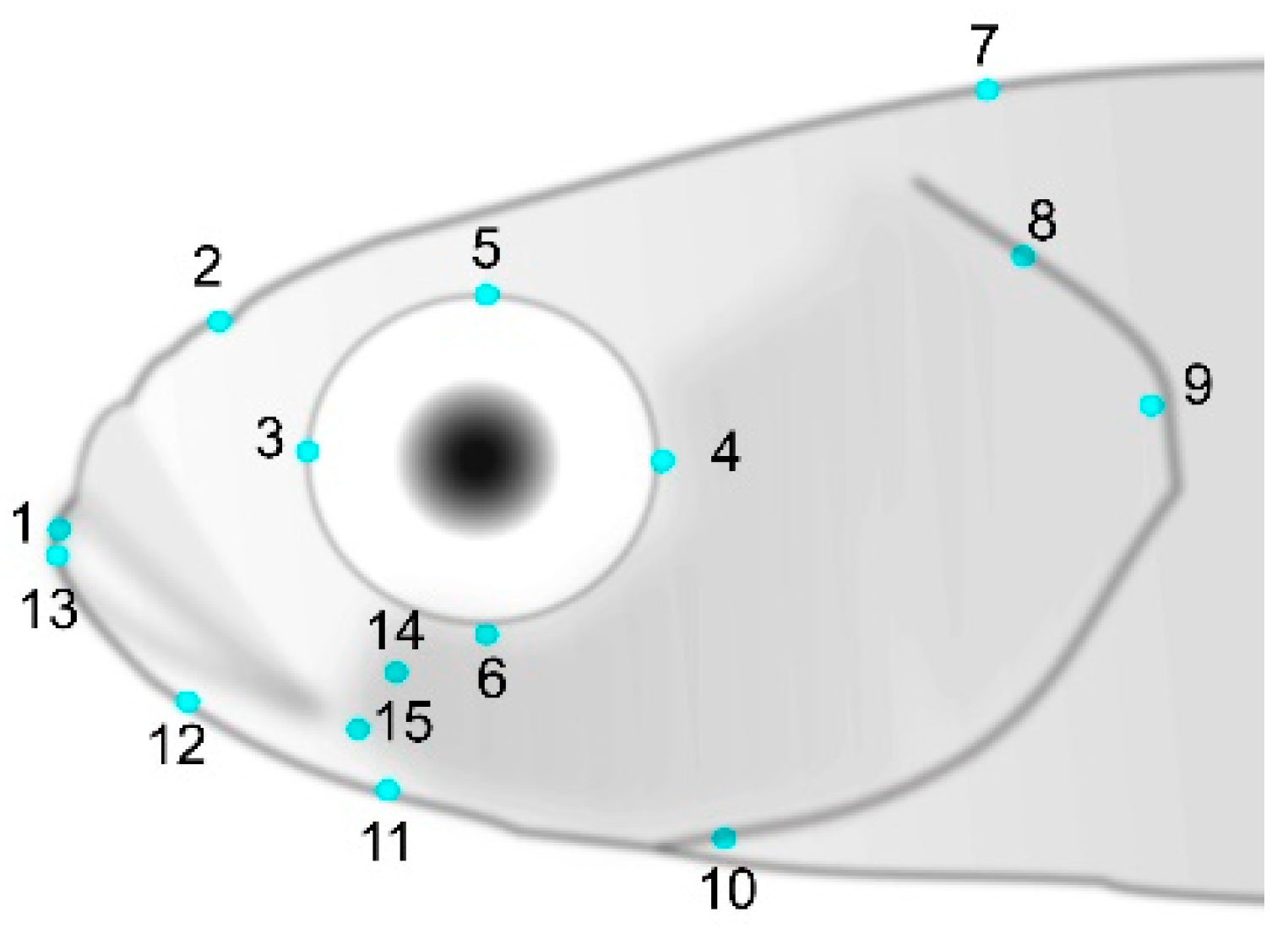 Jmse 10 01876 g001 Jmse 10 01876 g001