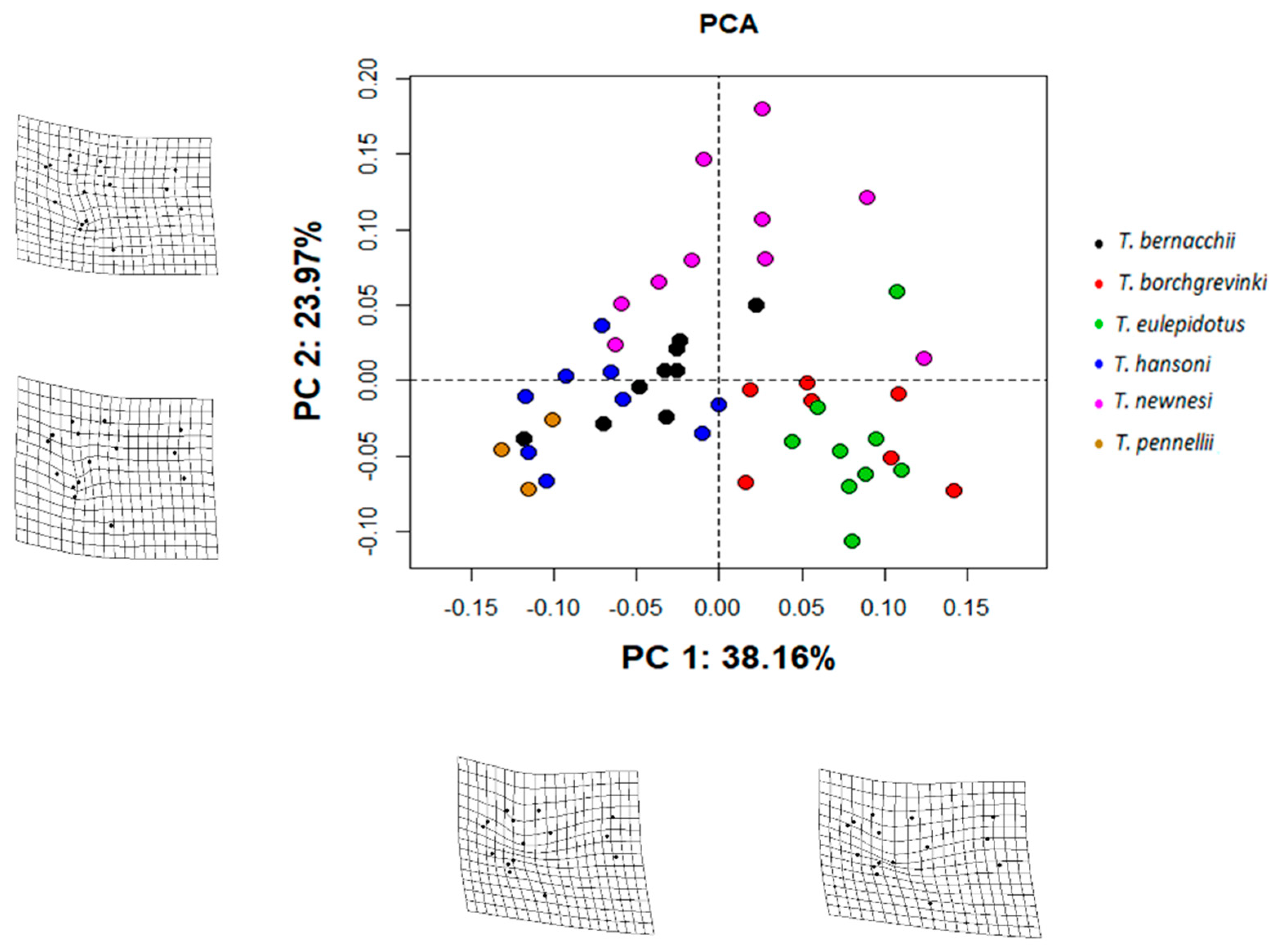 Jmse 10 01876 g005 Jmse 10 01876 g005