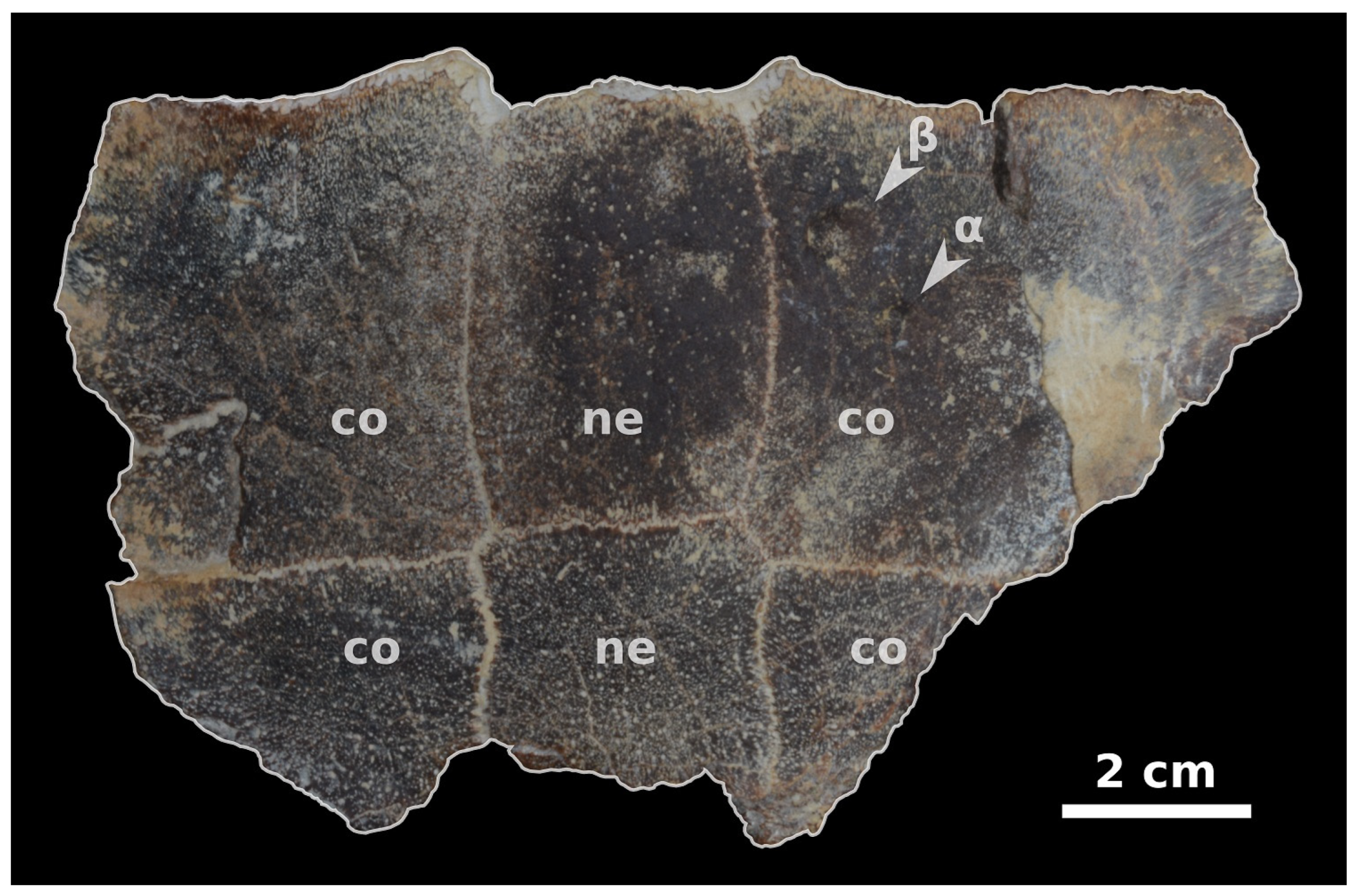 Jmse 11 00045 g002 Jmse 11 00045 g002