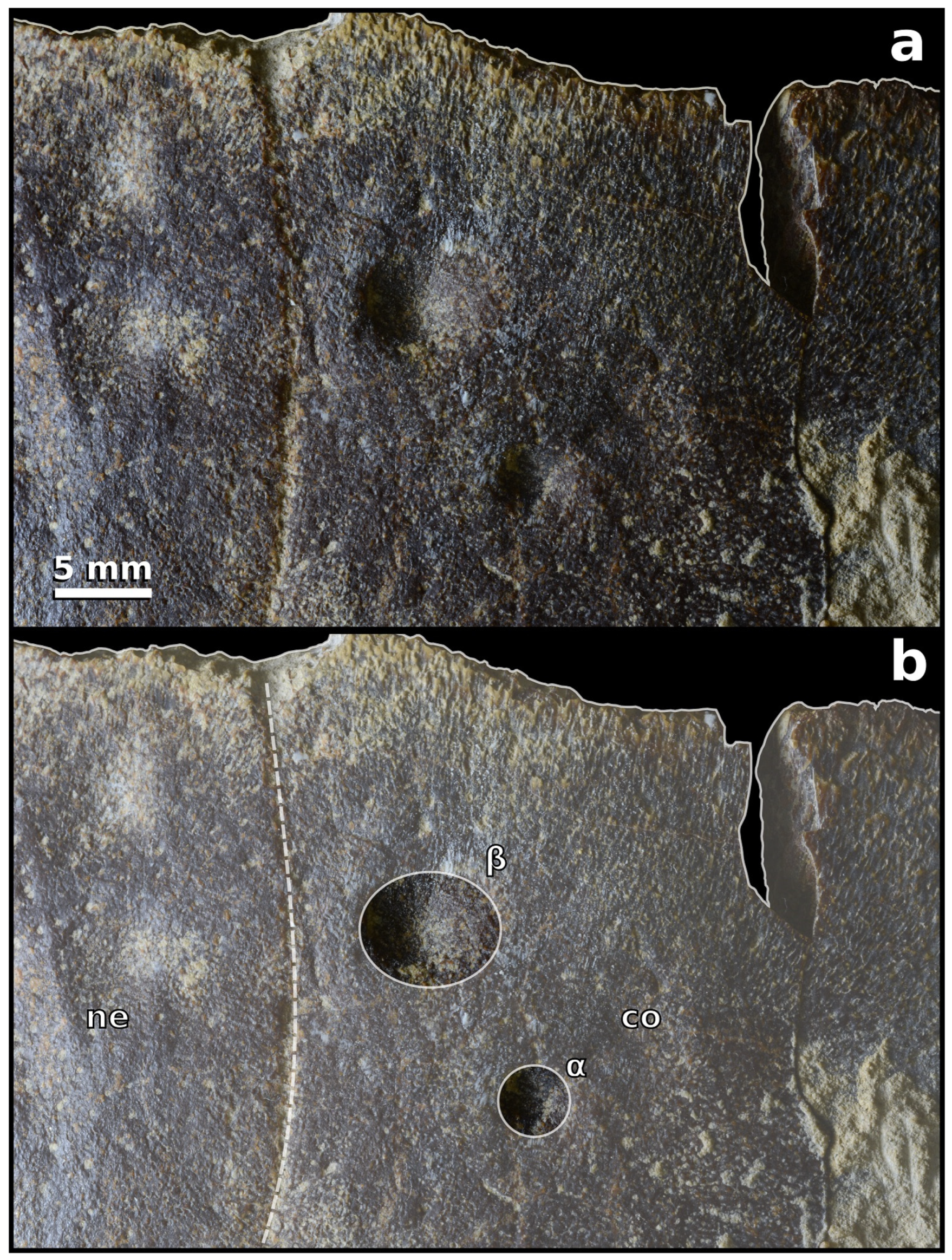 Jmse 11 00045 g003 Jmse 11 00045 g003