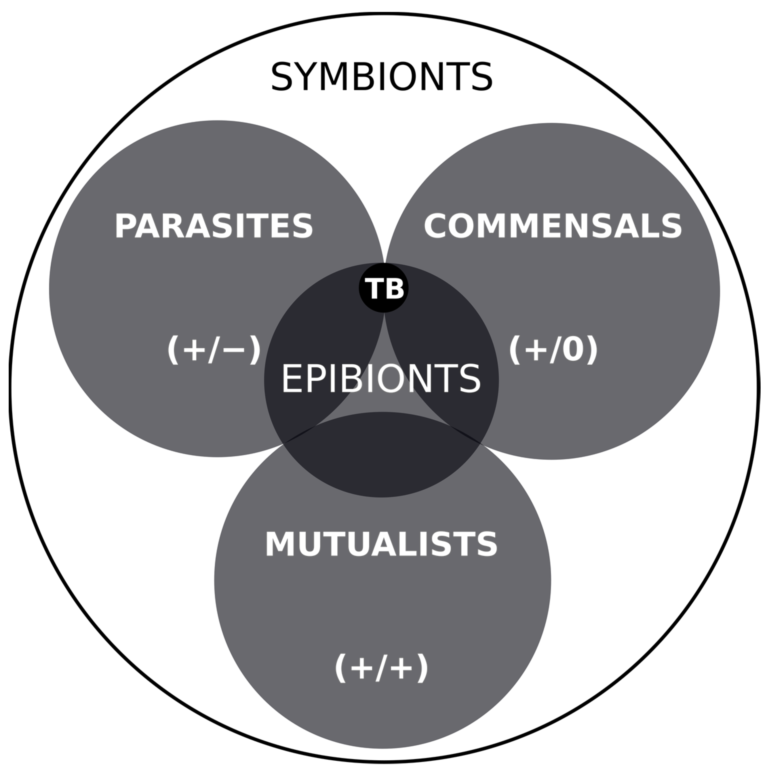 Jmse 11 00045 g005 Jmse 11 00045 g005