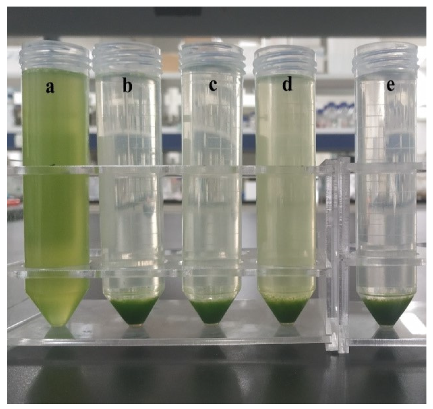 Jmse 11 00047 g001 Jmse 11 00047 g001