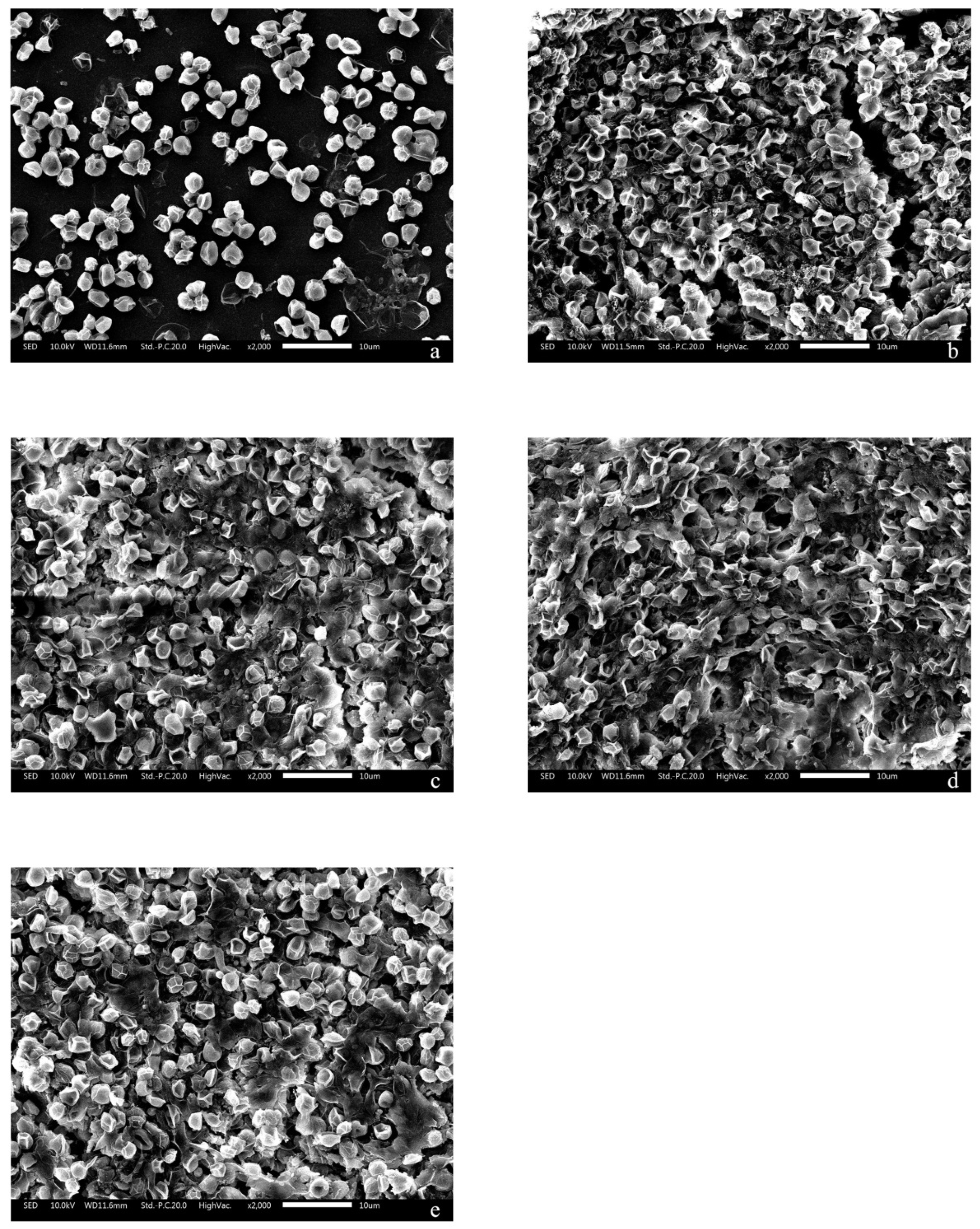 Jmse 11 00047 g004 Jmse 11 00047 g004