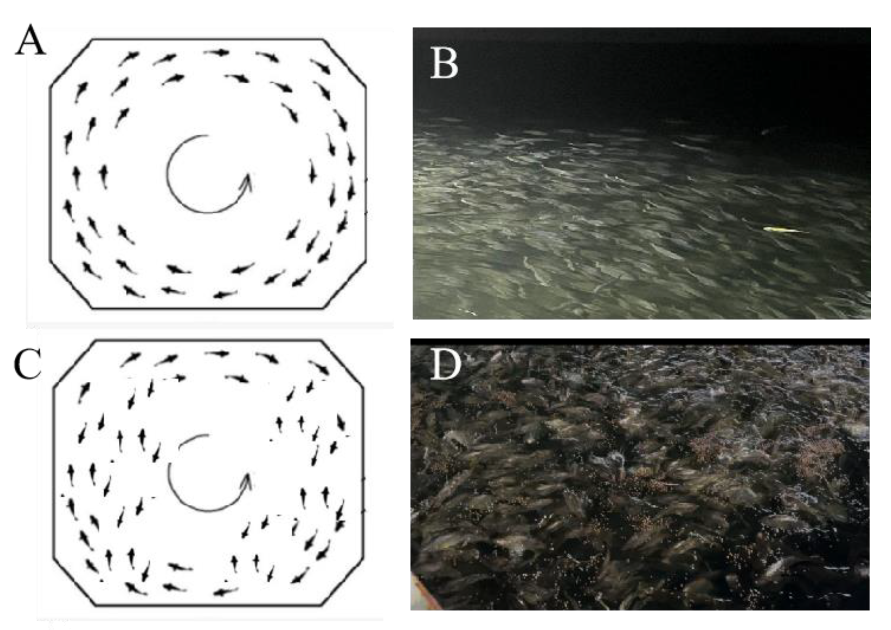 Jmse 11 00101 g005 Jmse 11 00101 g005