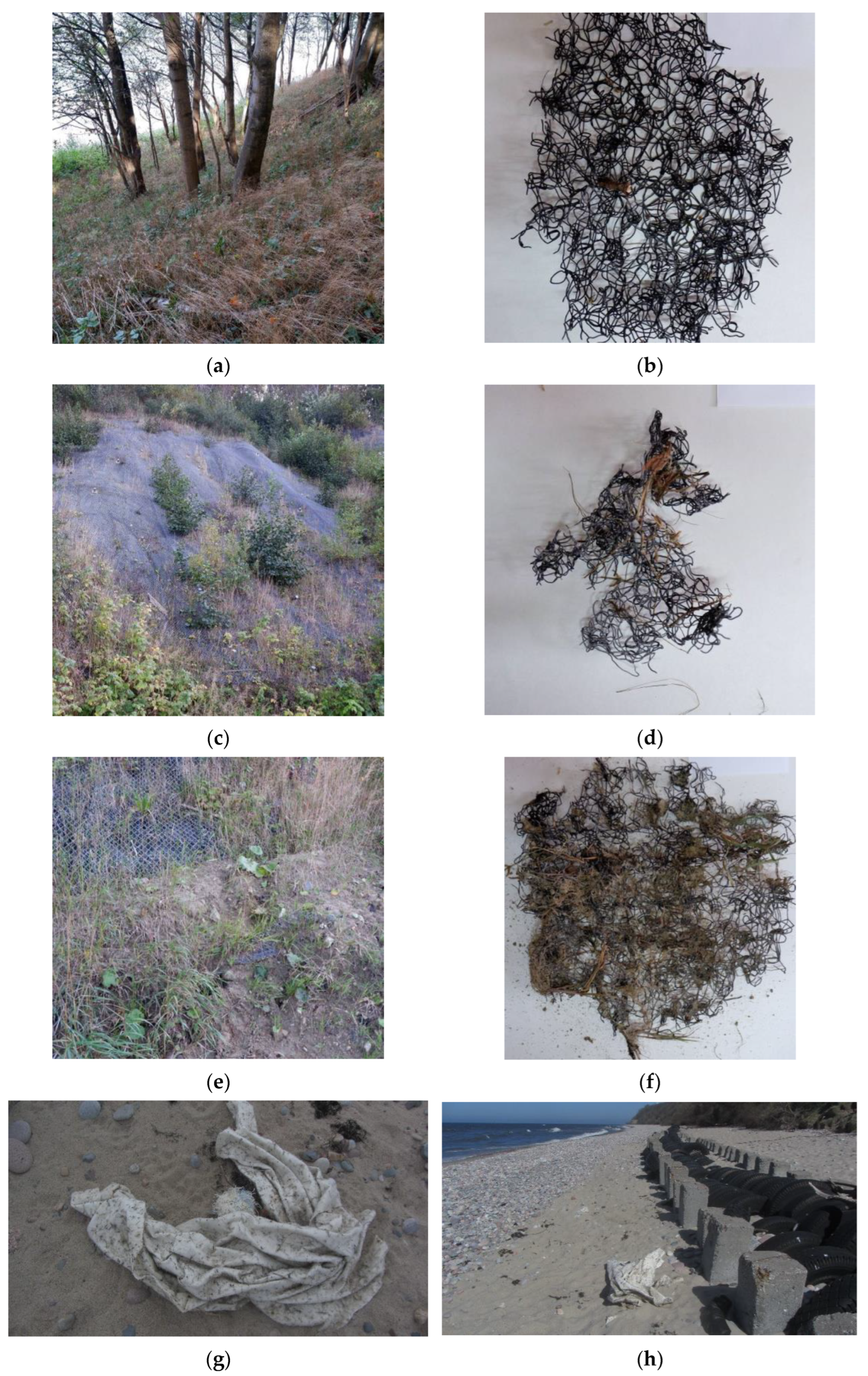 Jmse 11 00113 g004 Jmse 11 00113 g004