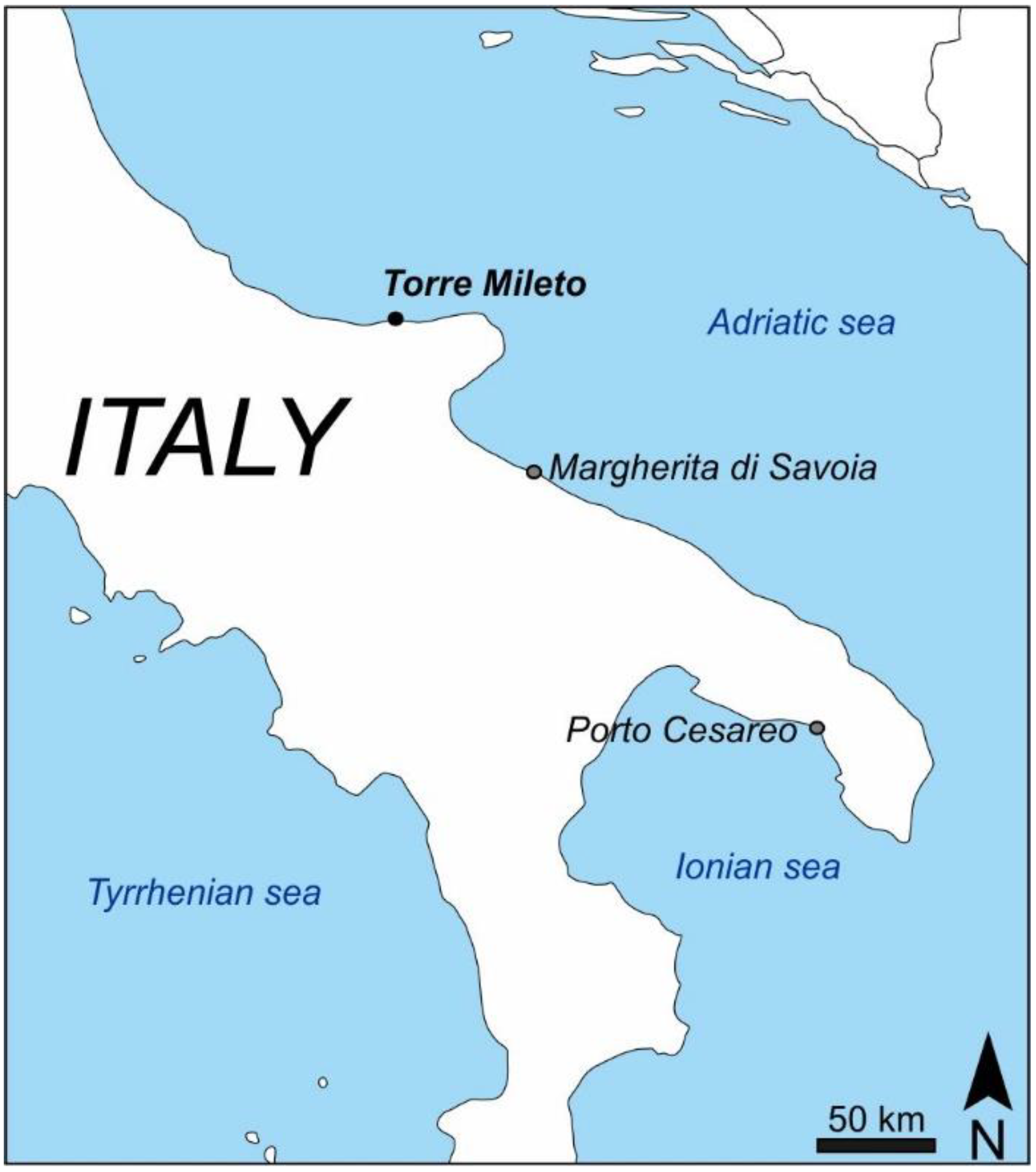 Jmse 11 00204 g001 Jmse 11 00204 g001