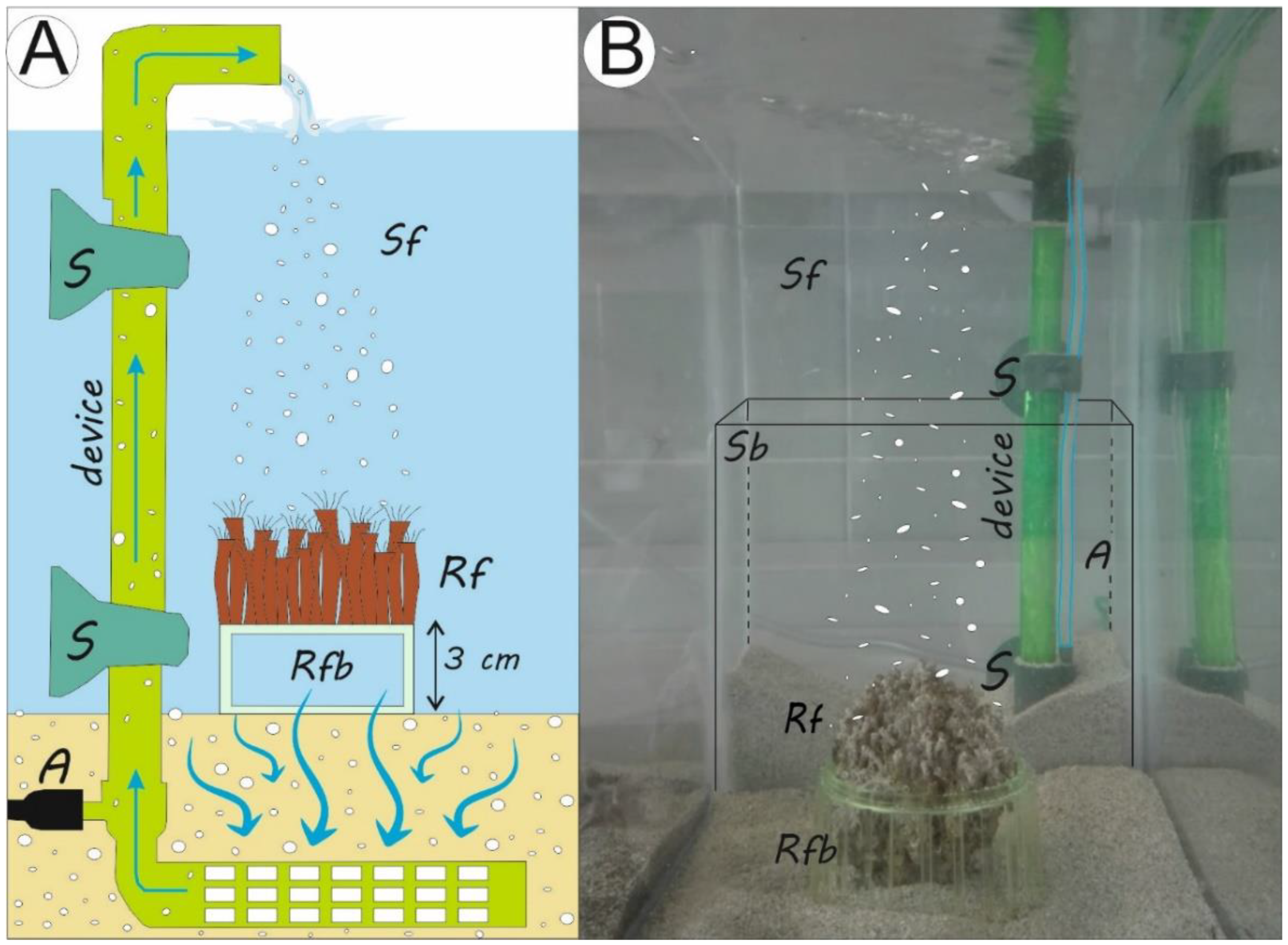 Jmse 11 00204 g002 Jmse 11 00204 g002