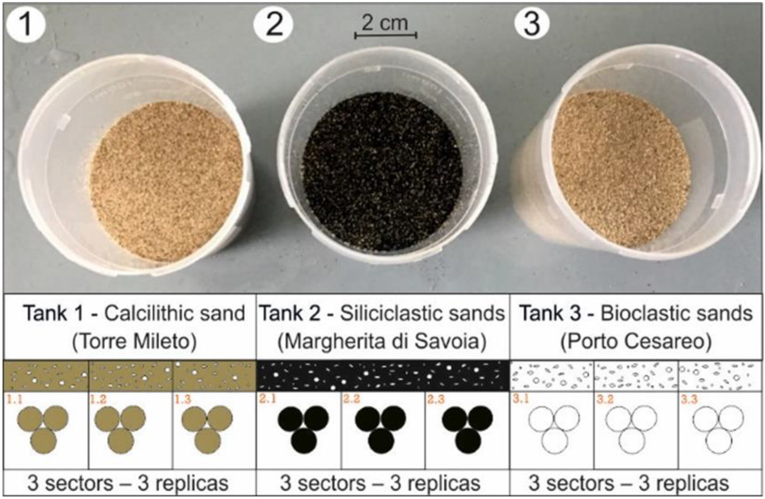 Jmse 11 00204 g004 Jmse 11 00204 g004