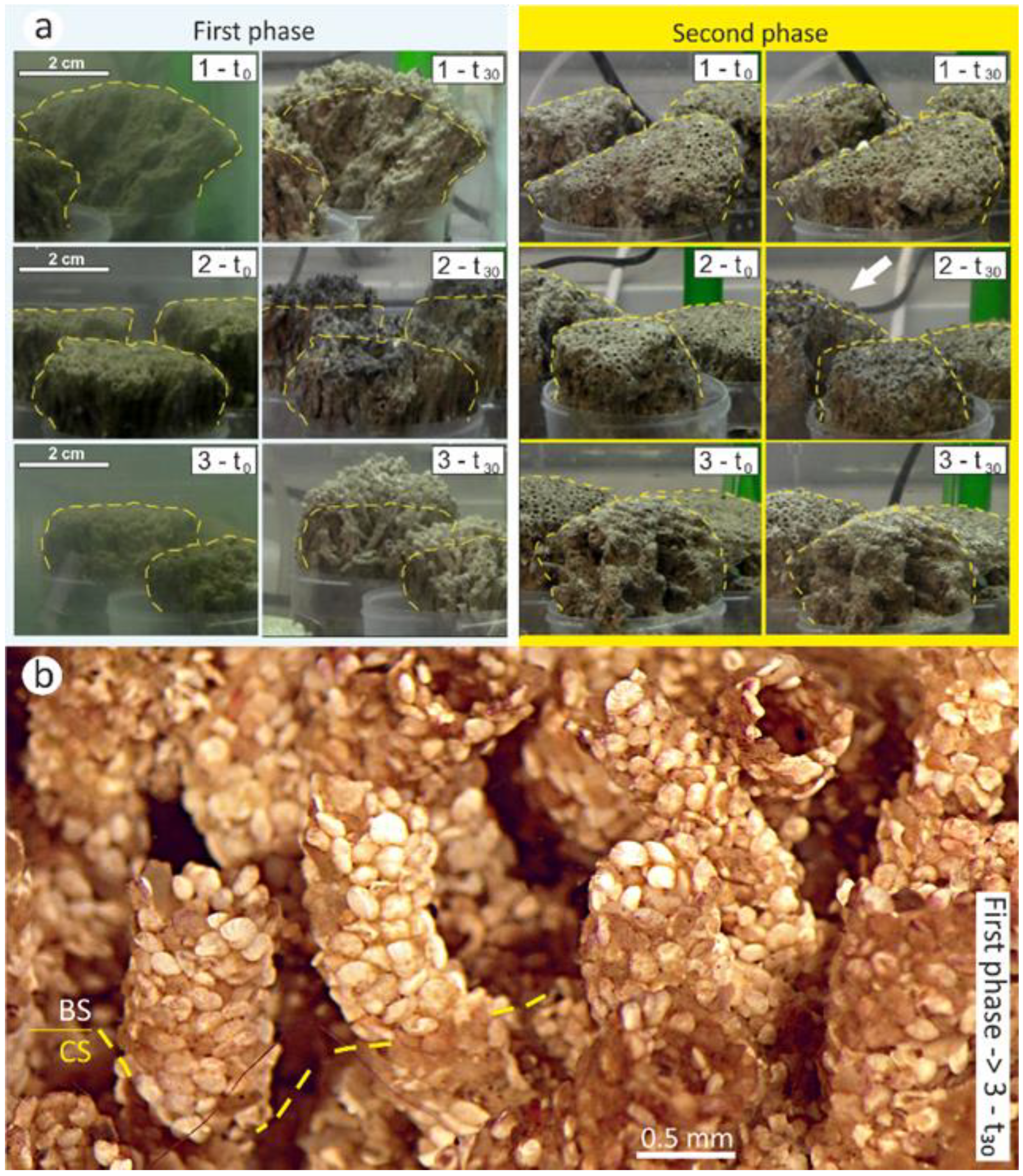 Jmse 11 00204 g006 Jmse 11 00204 g006