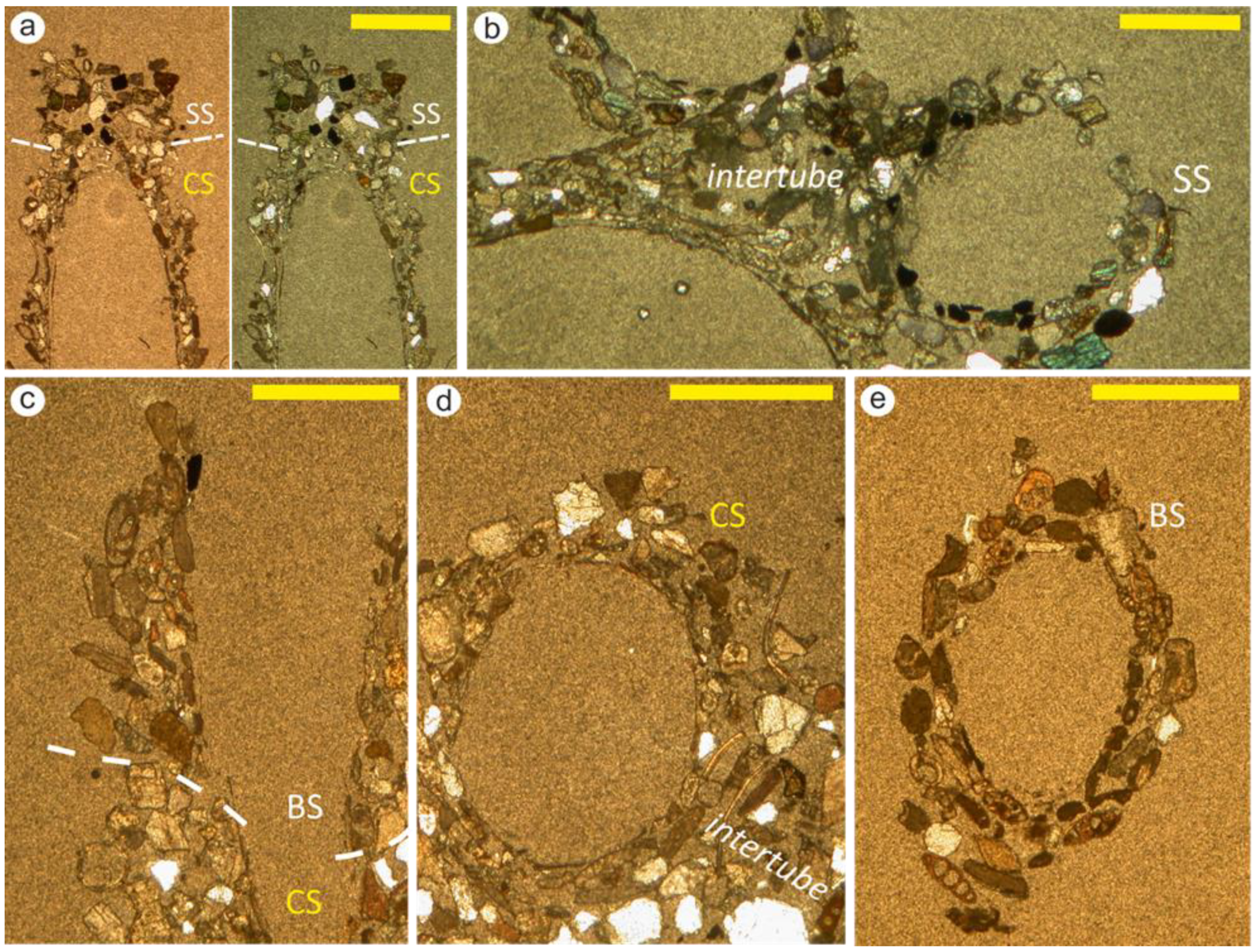 Jmse 11 00204 g008 Jmse 11 00204 g008
