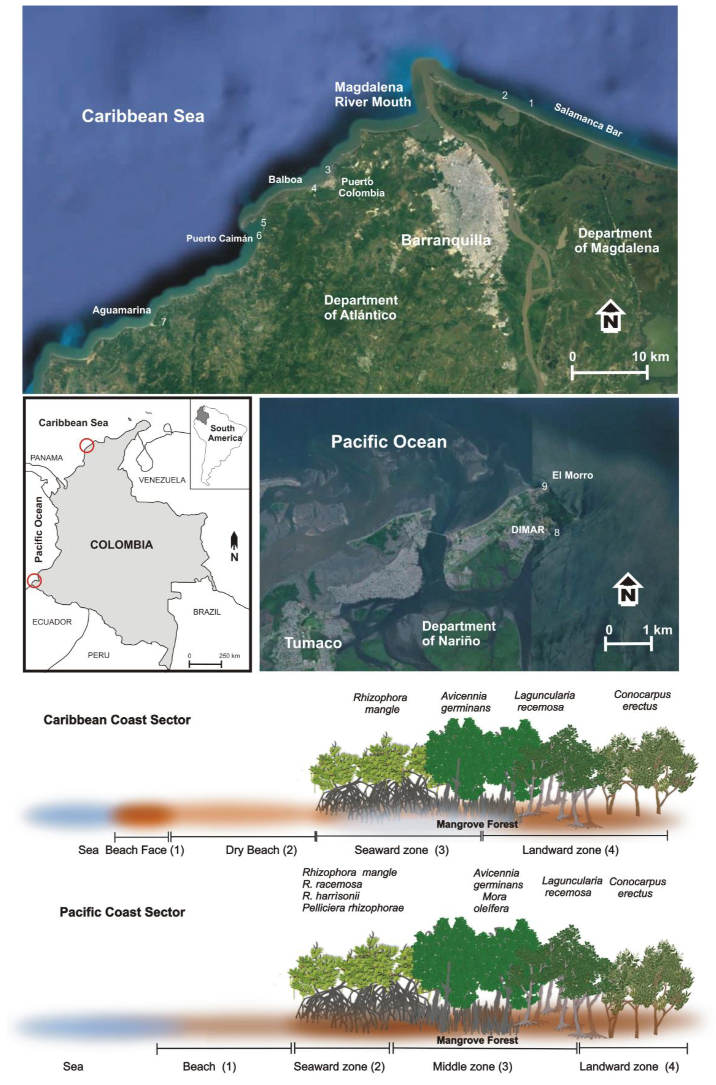 PDF) Parque Fluvial do Rio São Pedro -Macaé