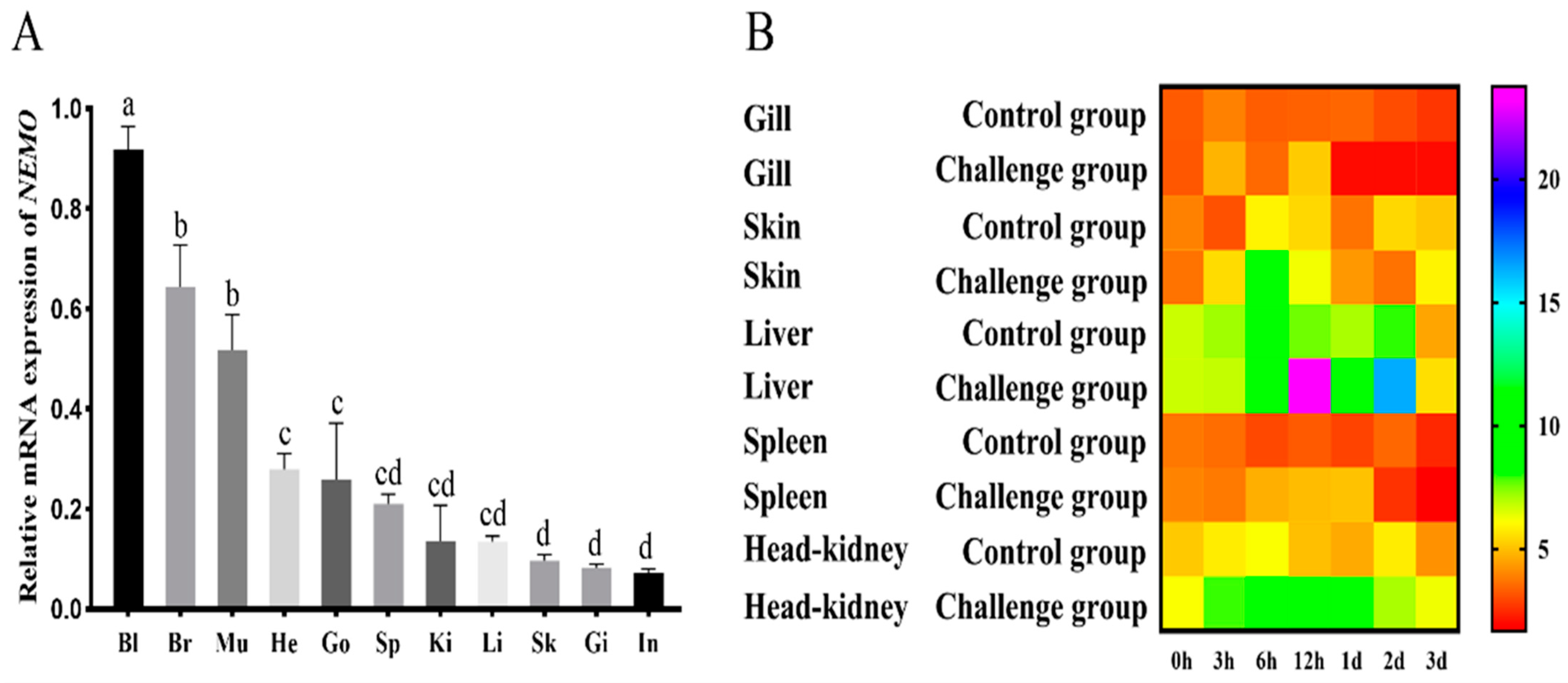 Jmse 11 00262 g006 Jmse 11 00262 g006