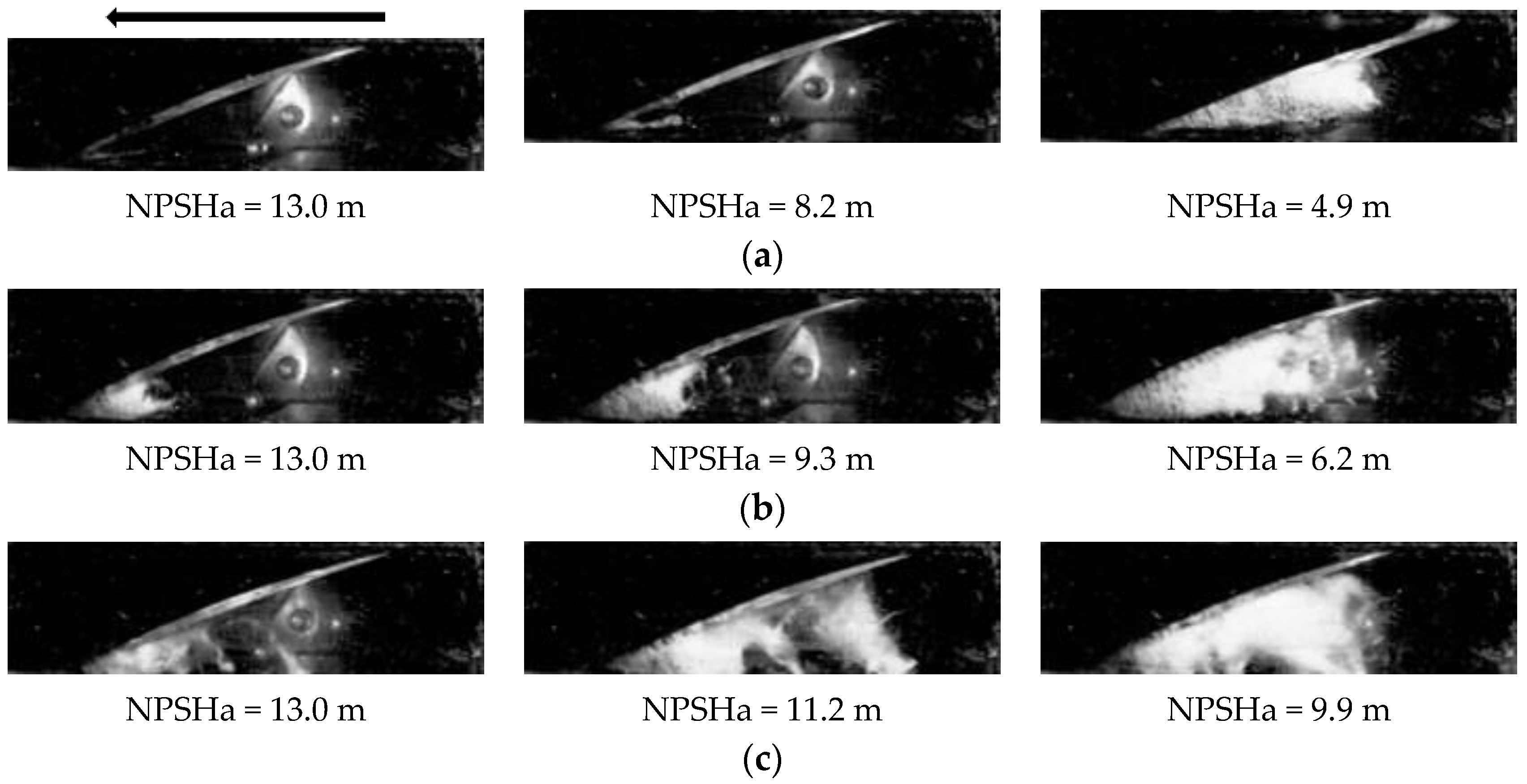 Jmse 11 00268 g005 550