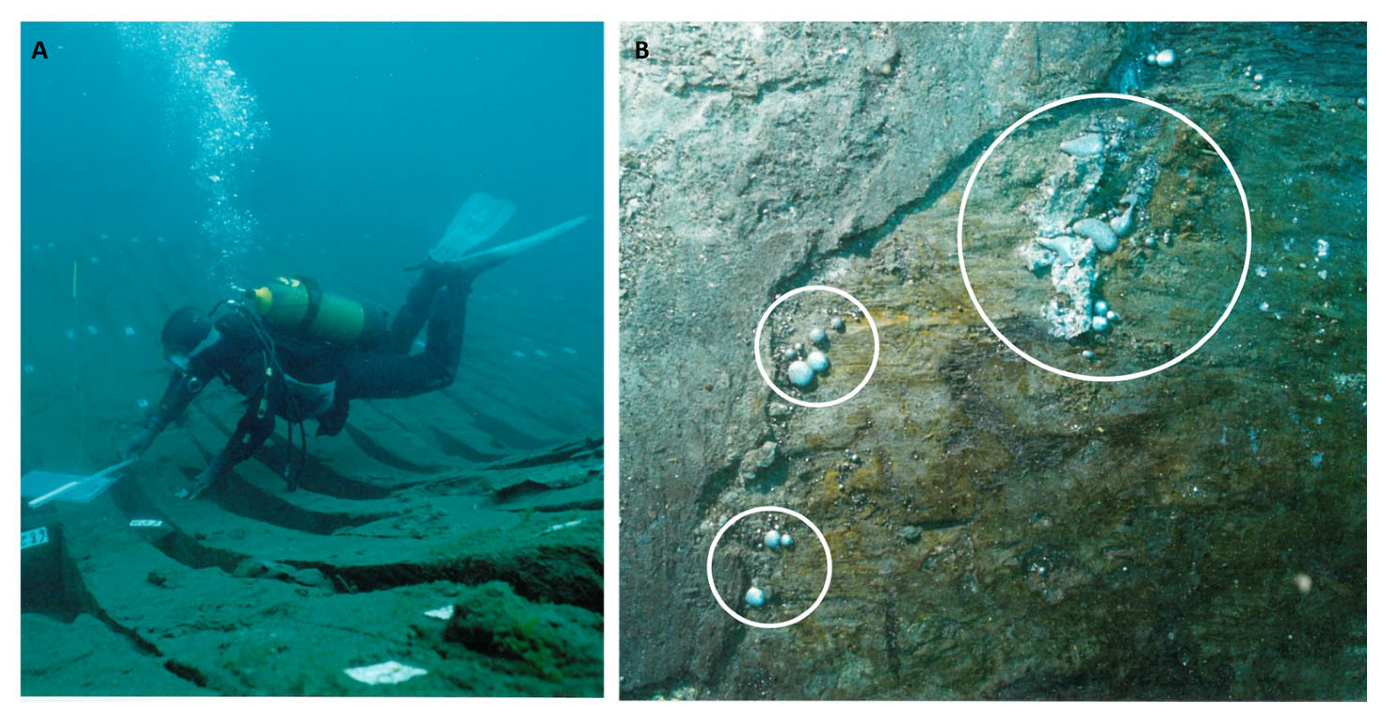 Jmse 11 00276 g001 Jmse 11 00276 g001