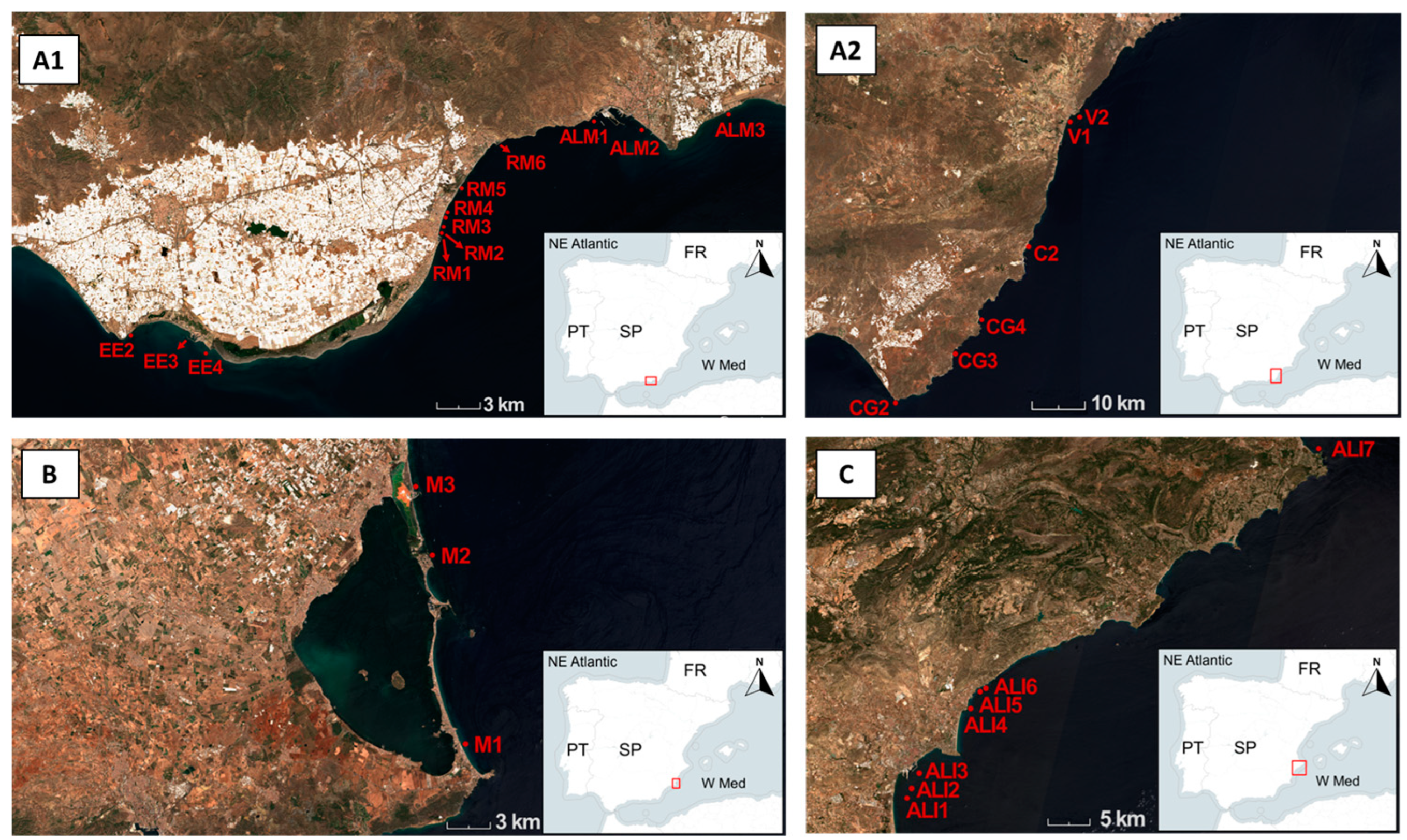 Jmse 11 00369 g001 Jmse 11 00369 g001