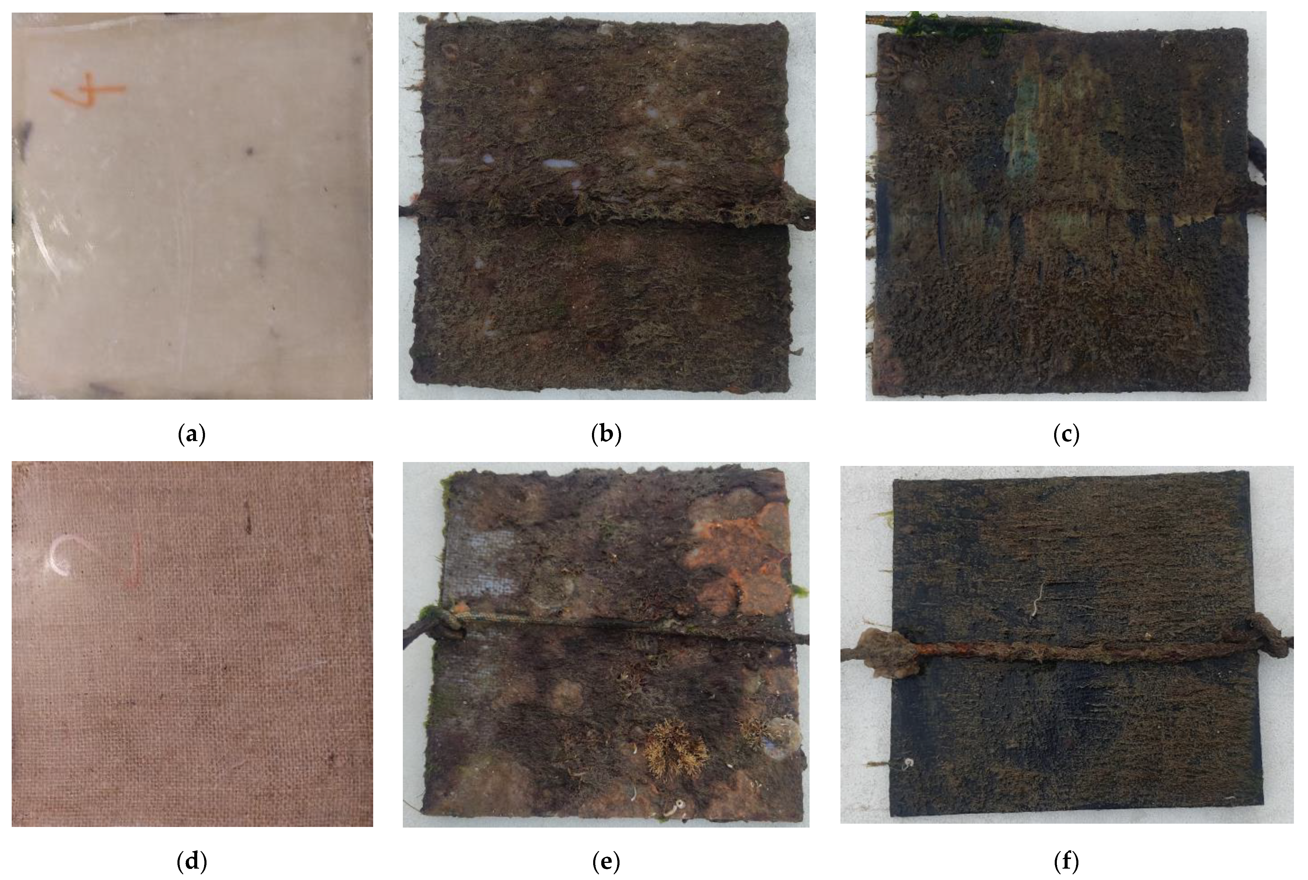 Jmse 11 00382 g006 550