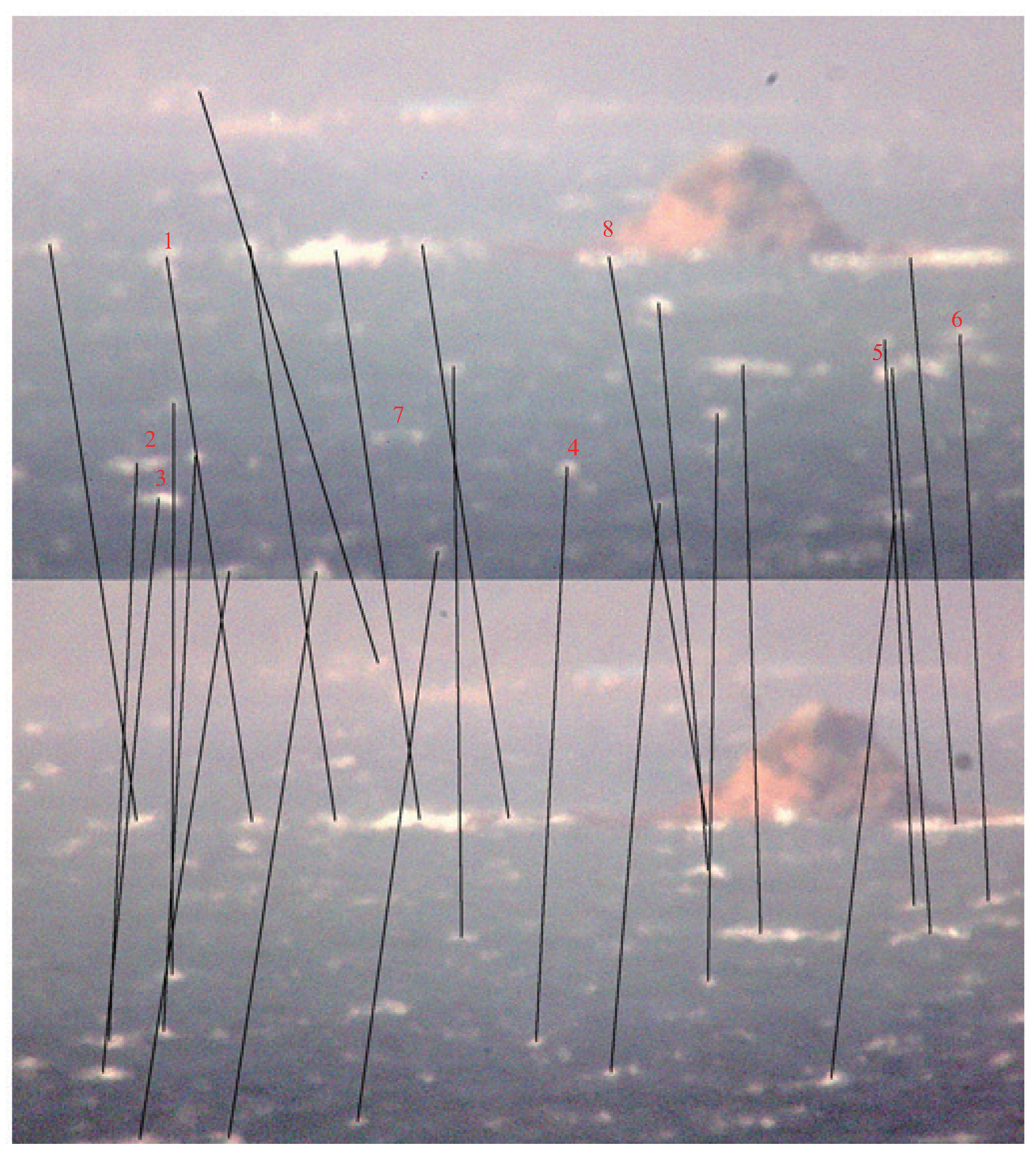 Jmse 11 00391 g011 Jmse 11 00391 g011