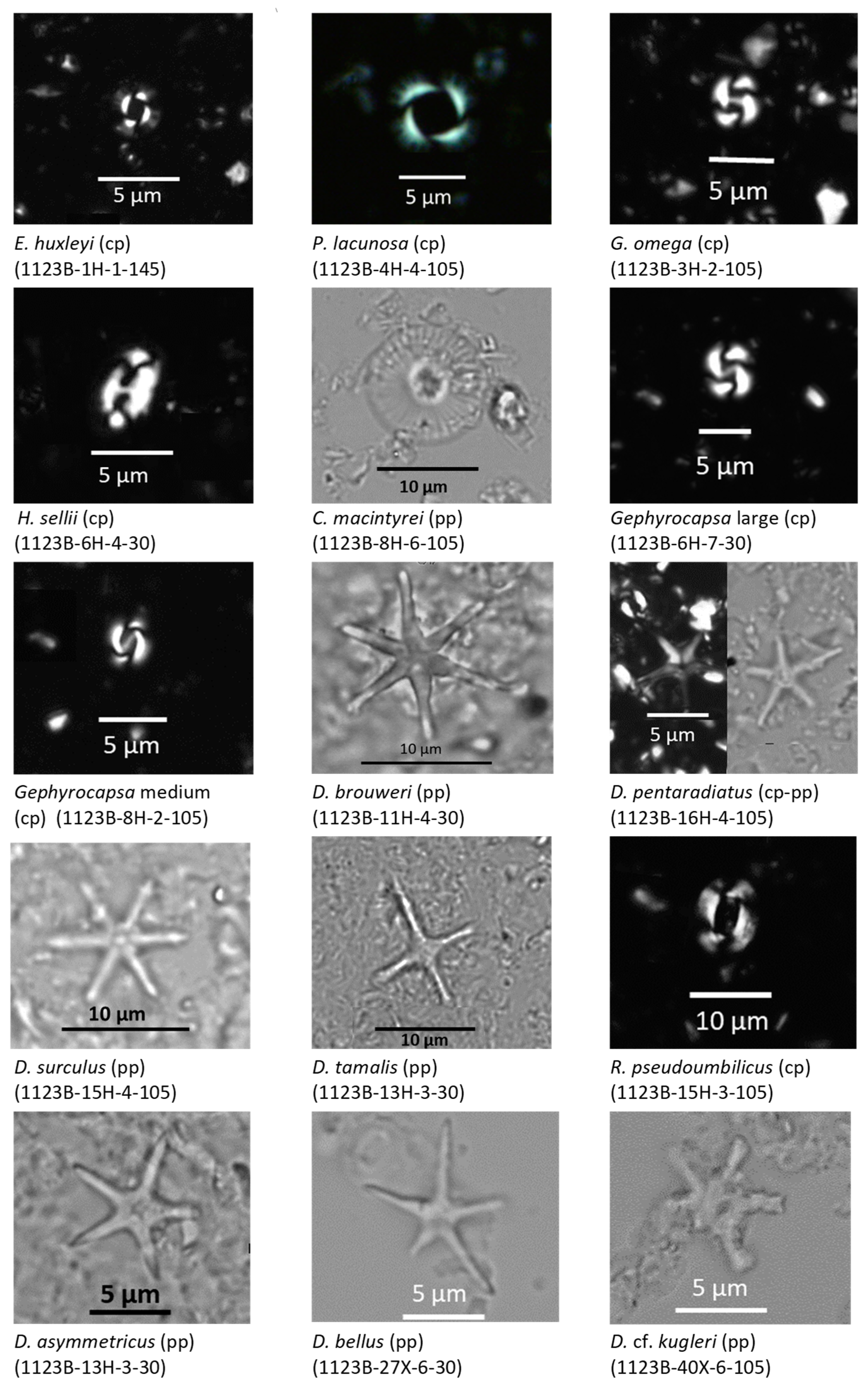 Jmse 11 00408 g0a1 Jmse 11 00408 g0a1