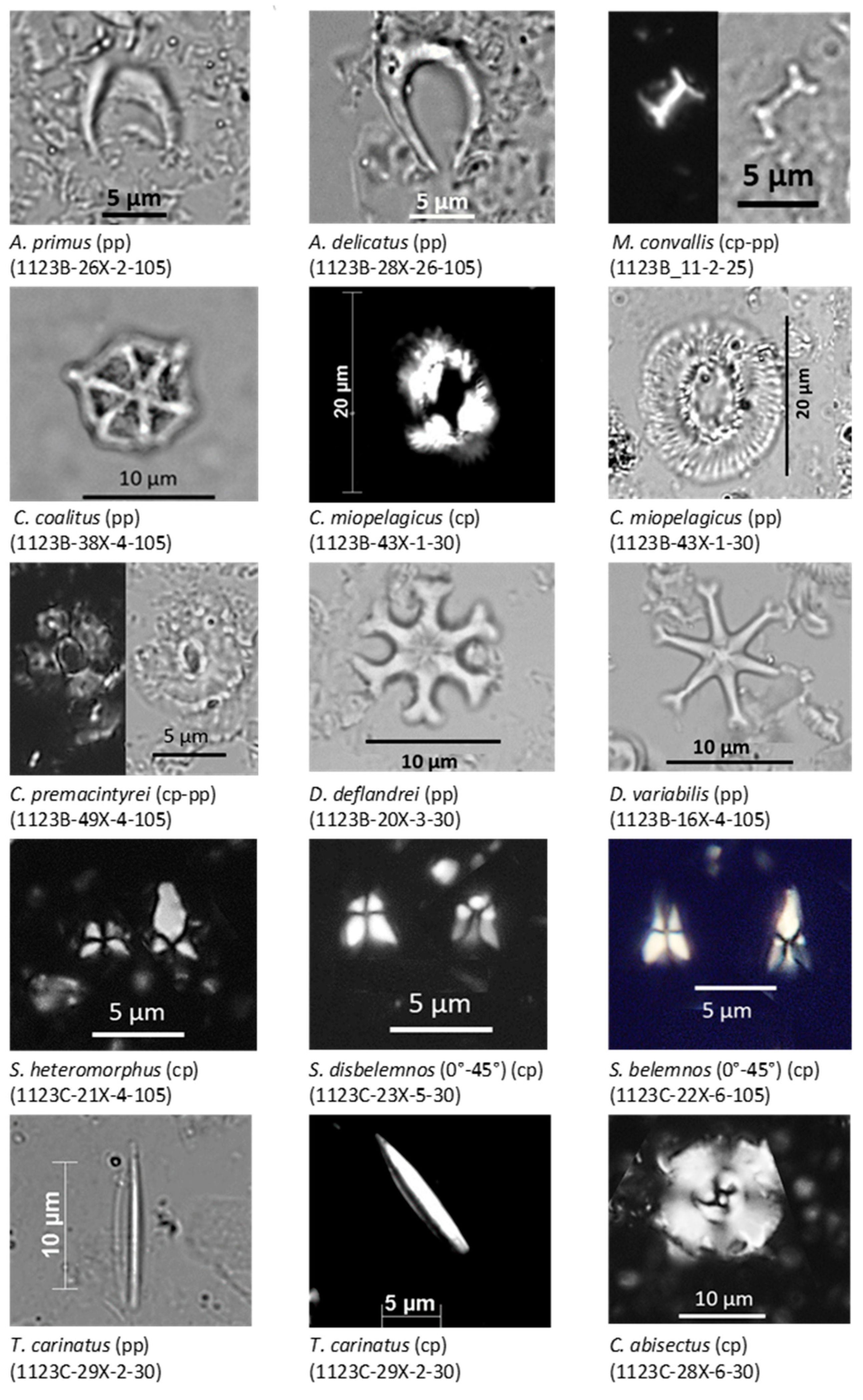 Jmse 11 00408 g0a2 Jmse 11 00408 g0a2