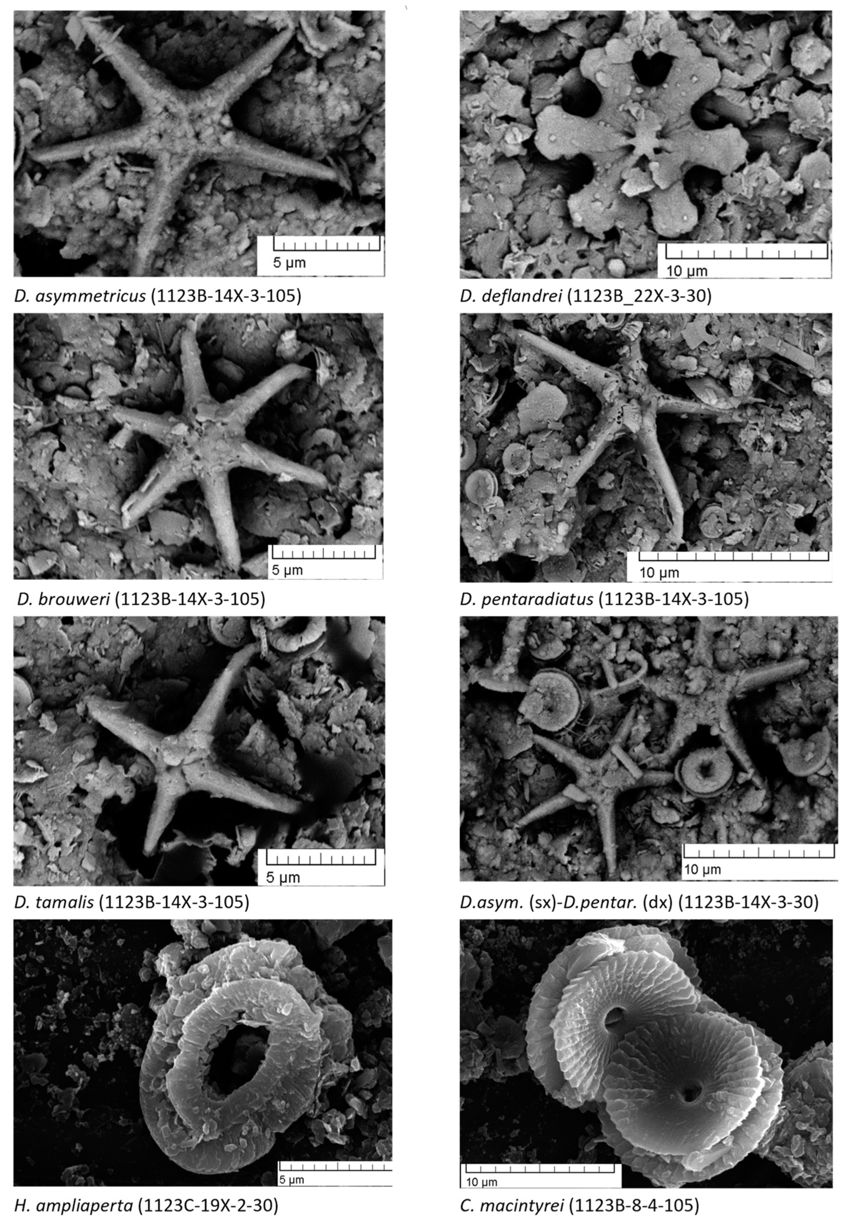 Jmse 11 00408 g0a3 Jmse 11 00408 g0a3