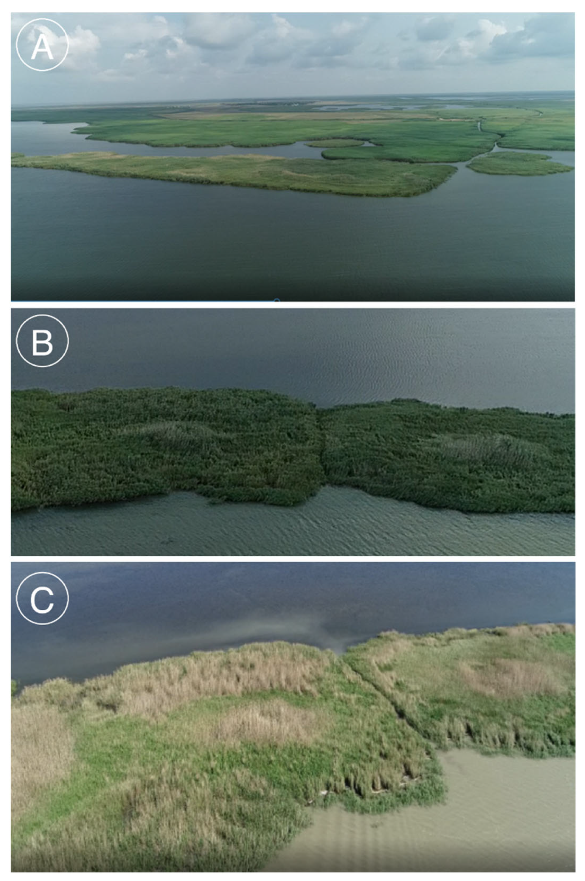 Jmse 11 00423 g002 Jmse 11 00423 g002