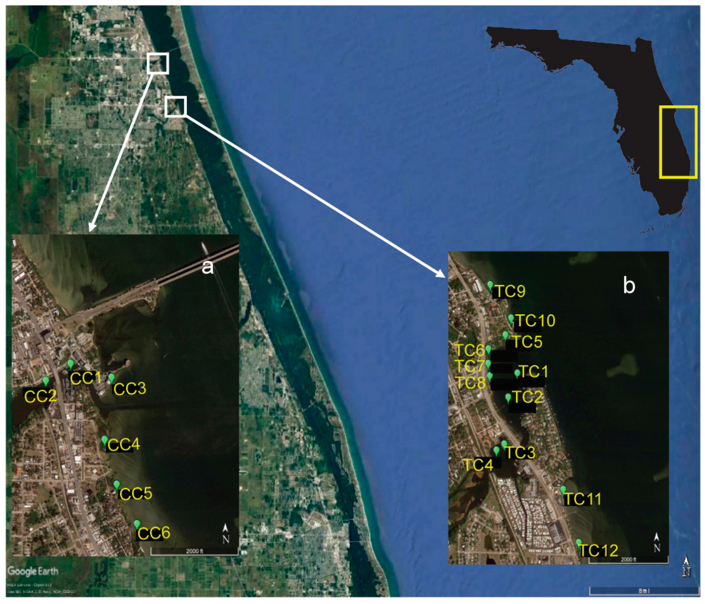 Jmse 11 00444 g001 Jmse 11 00444 g001