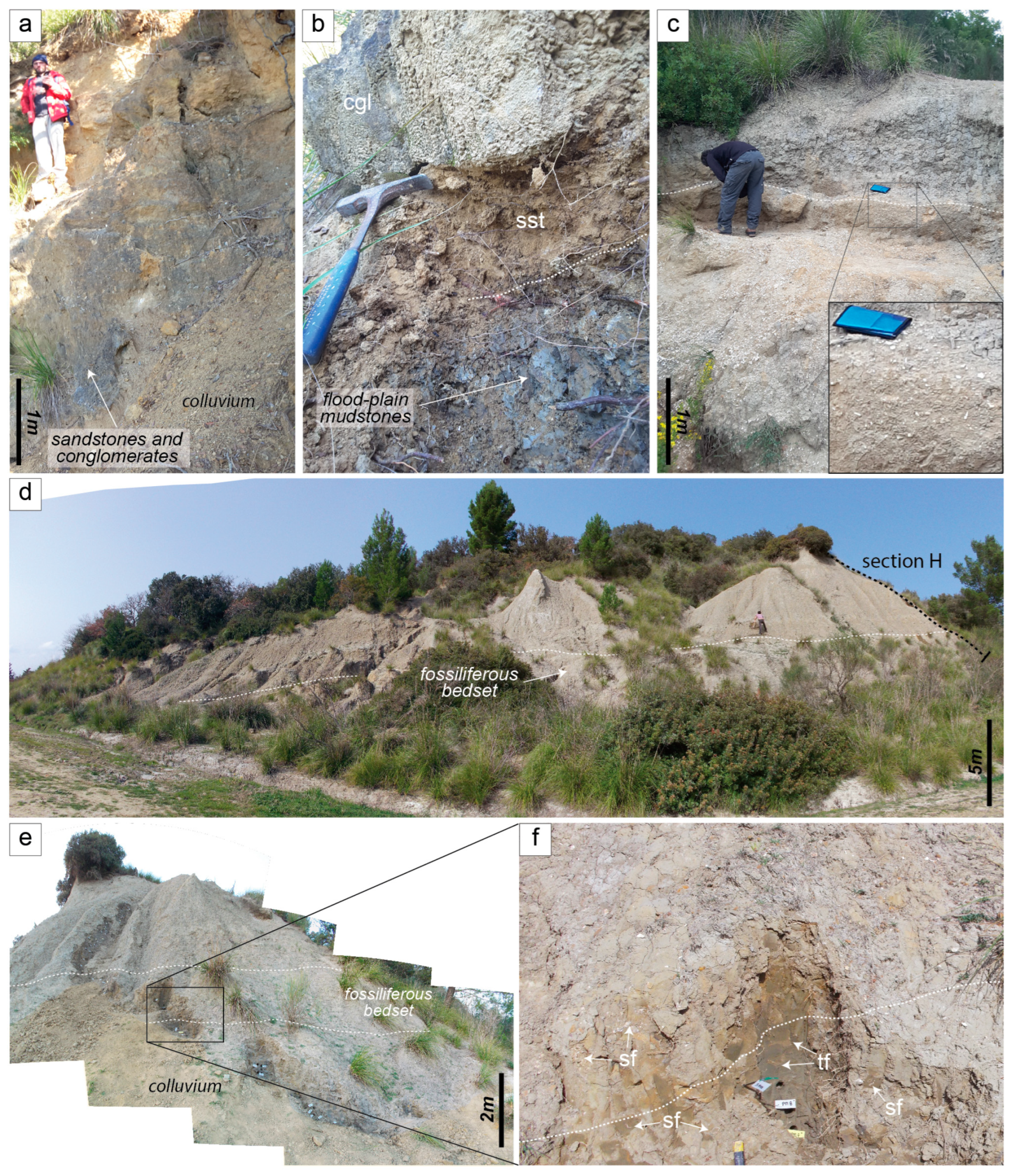 Jmse 11 00455 g004 Jmse 11 00455 g004