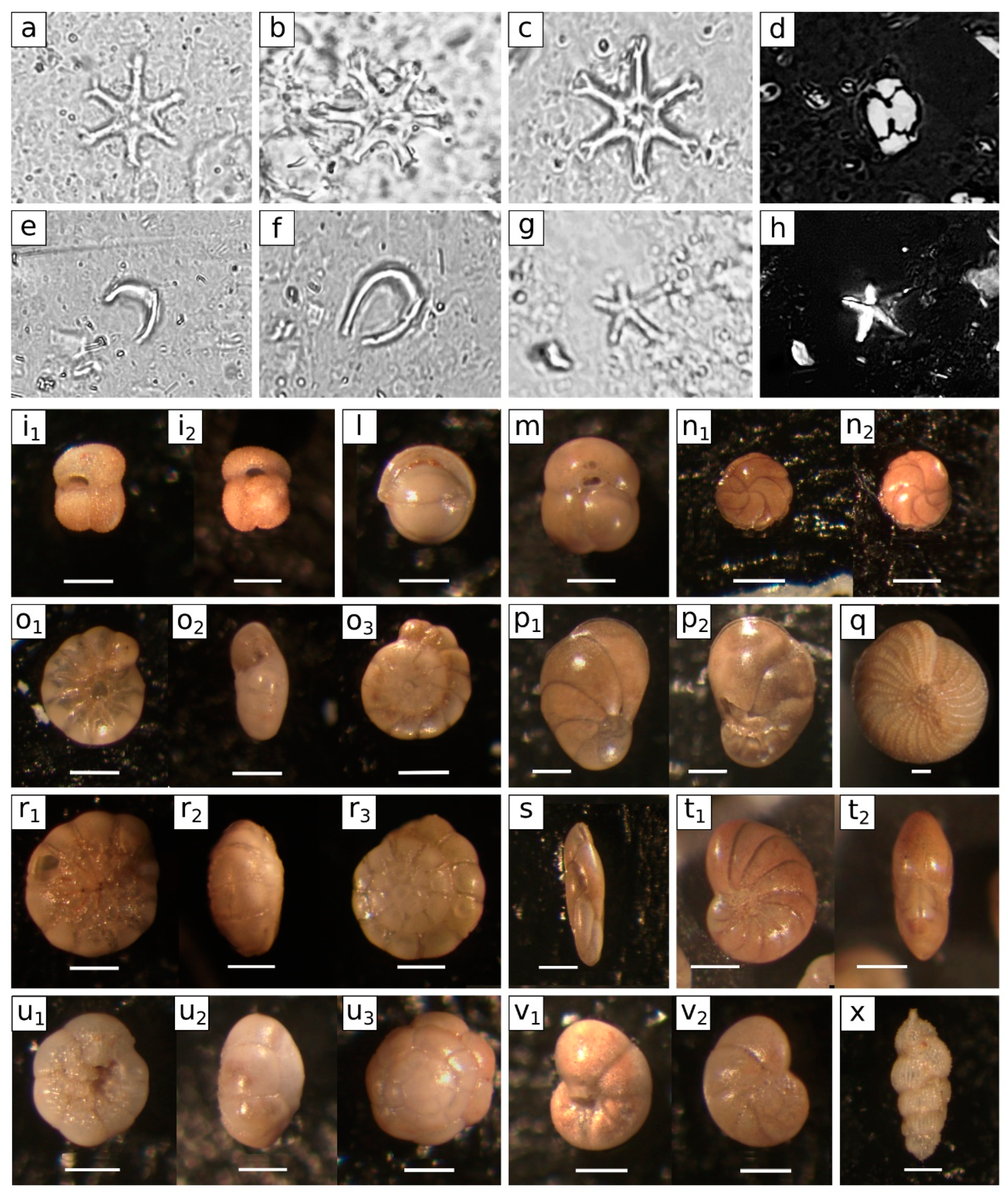 Jmse 11 00455 g011 Jmse 11 00455 g011