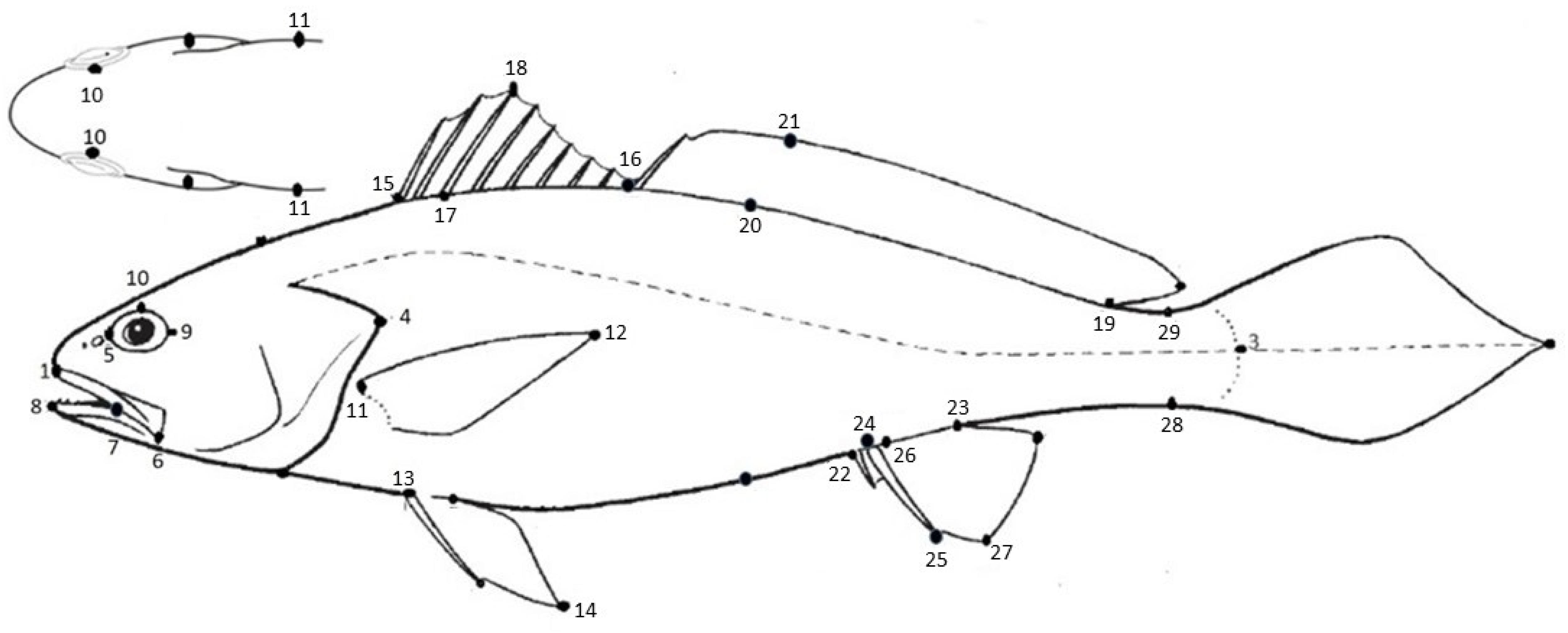 Jmse 11 00471 g002 Jmse 11 00471 g002