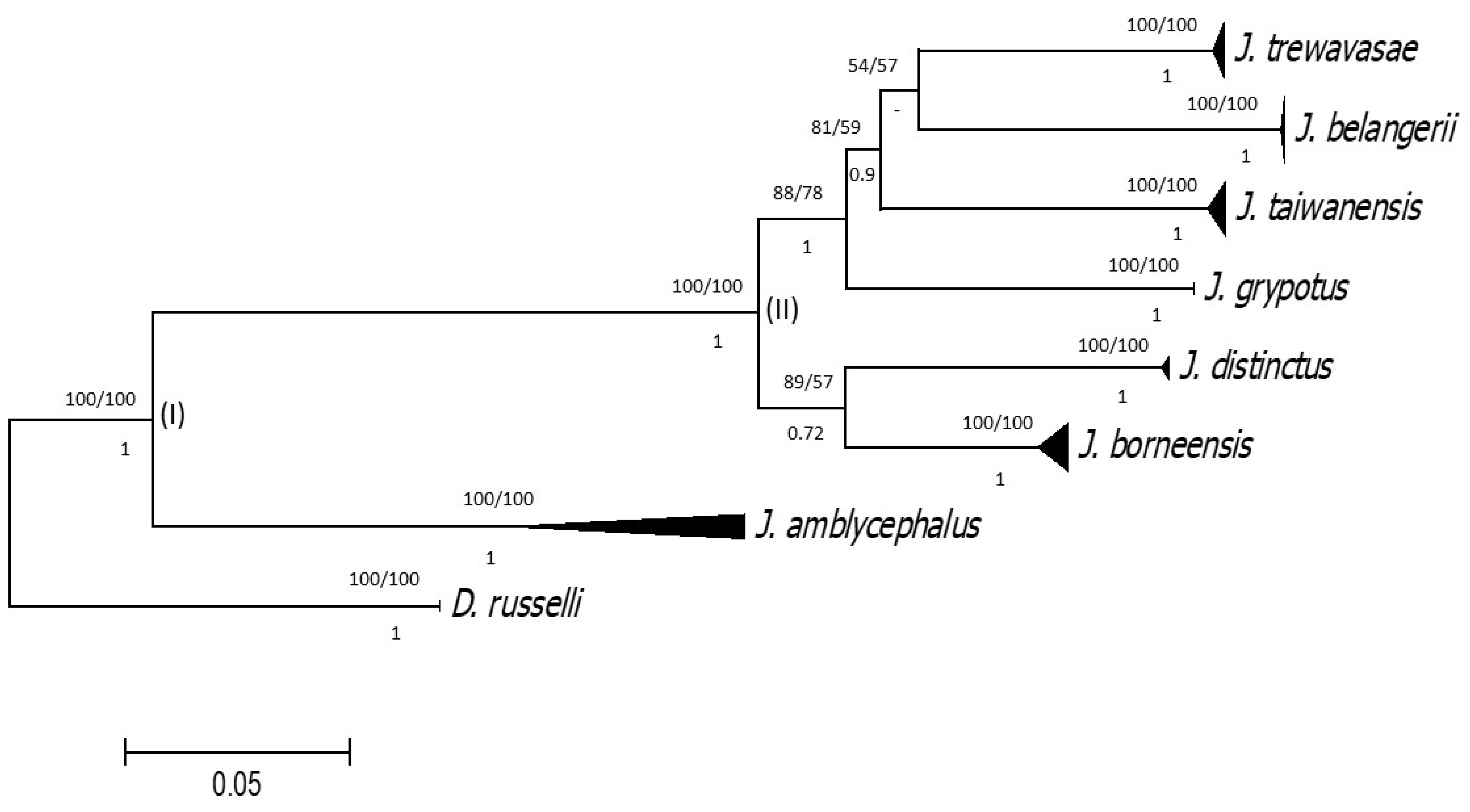 Jmse 11 00471 g004 Jmse 11 00471 g004