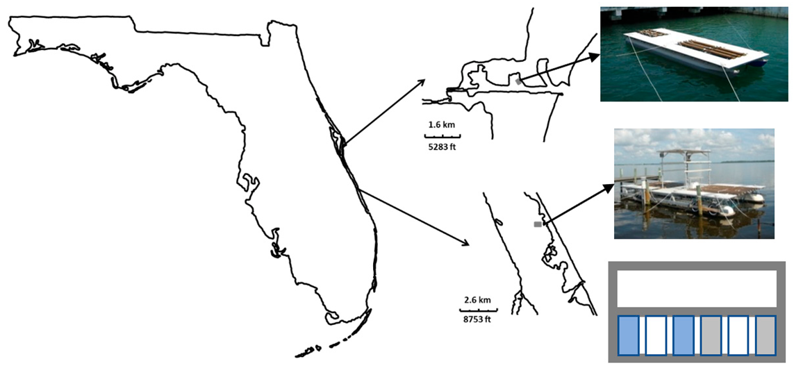 Jmse 11 00478 g001 Jmse 11 00478 g001