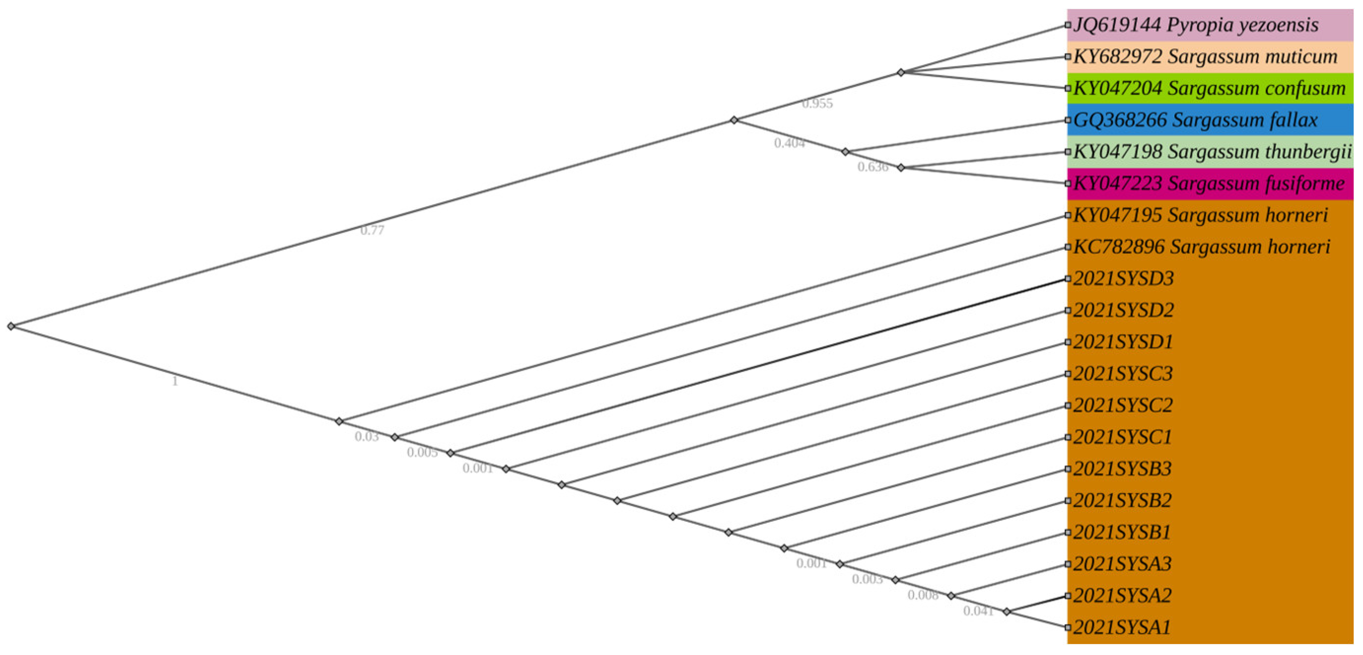 Jmse 11 00479 g003 Jmse 11 00479 g003