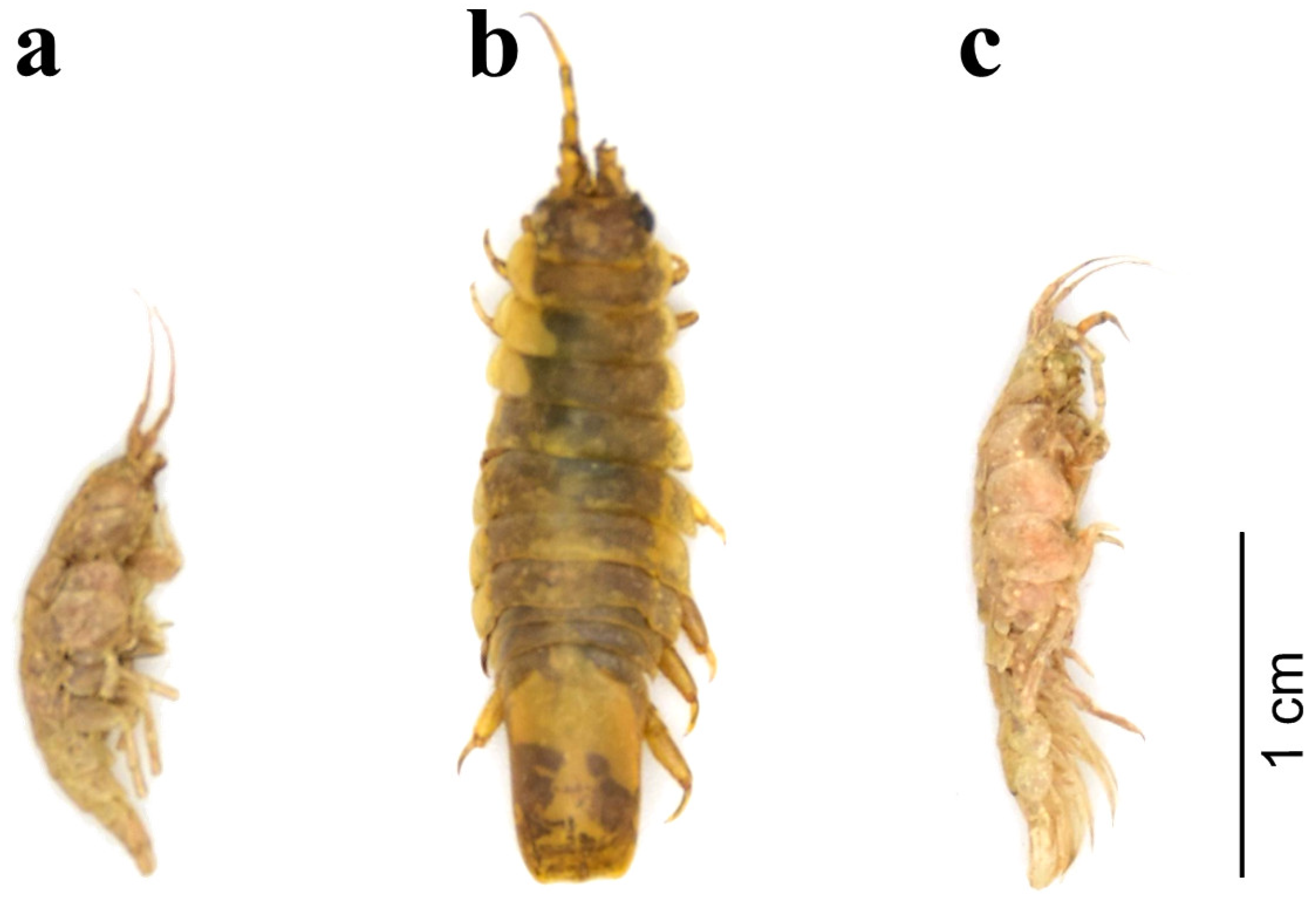 Jmse 11 00479 g004 Jmse 11 00479 g004