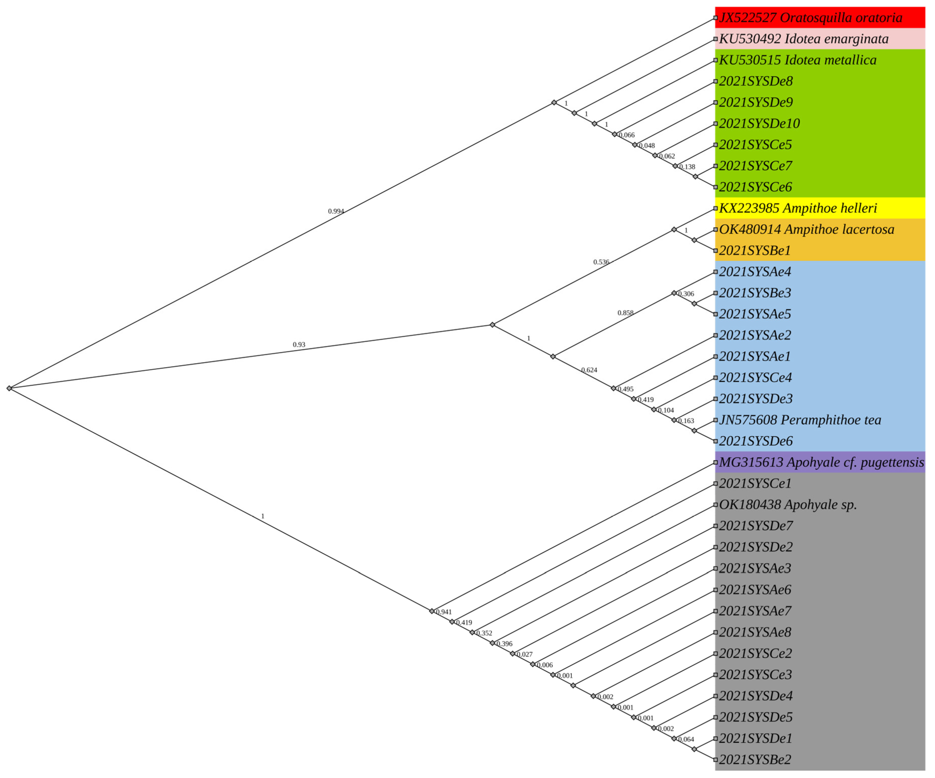 Jmse 11 00479 g005 Jmse 11 00479 g005