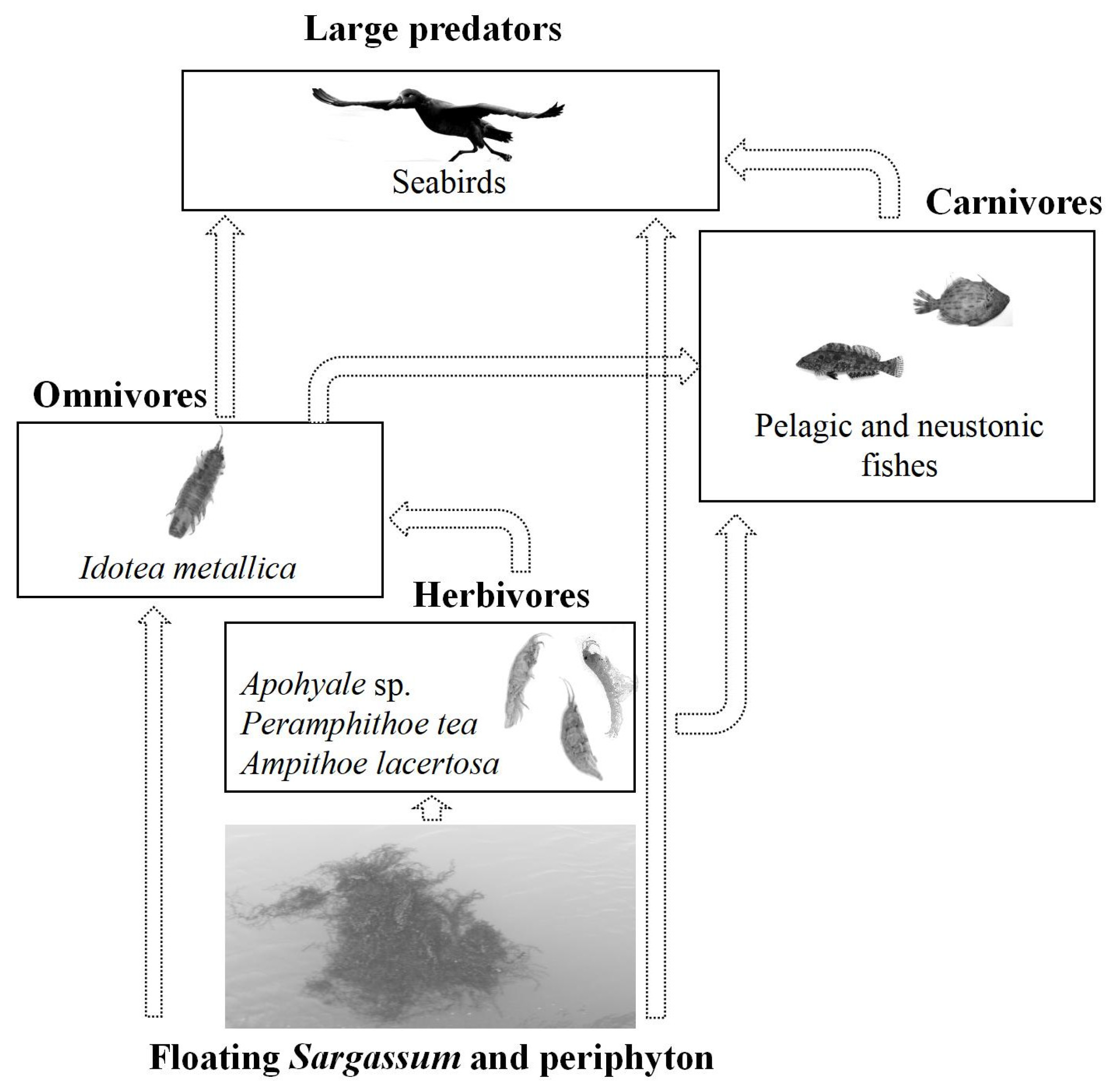 Jmse 11 00479 g008 Jmse 11 00479 g008