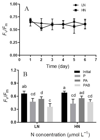 Effects of UVR on Photosynthesis in Sargassum horneri