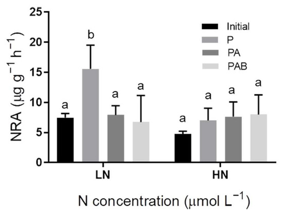 ＪＴ Effects of UVR on Photosynthesis in Sargassum horneri