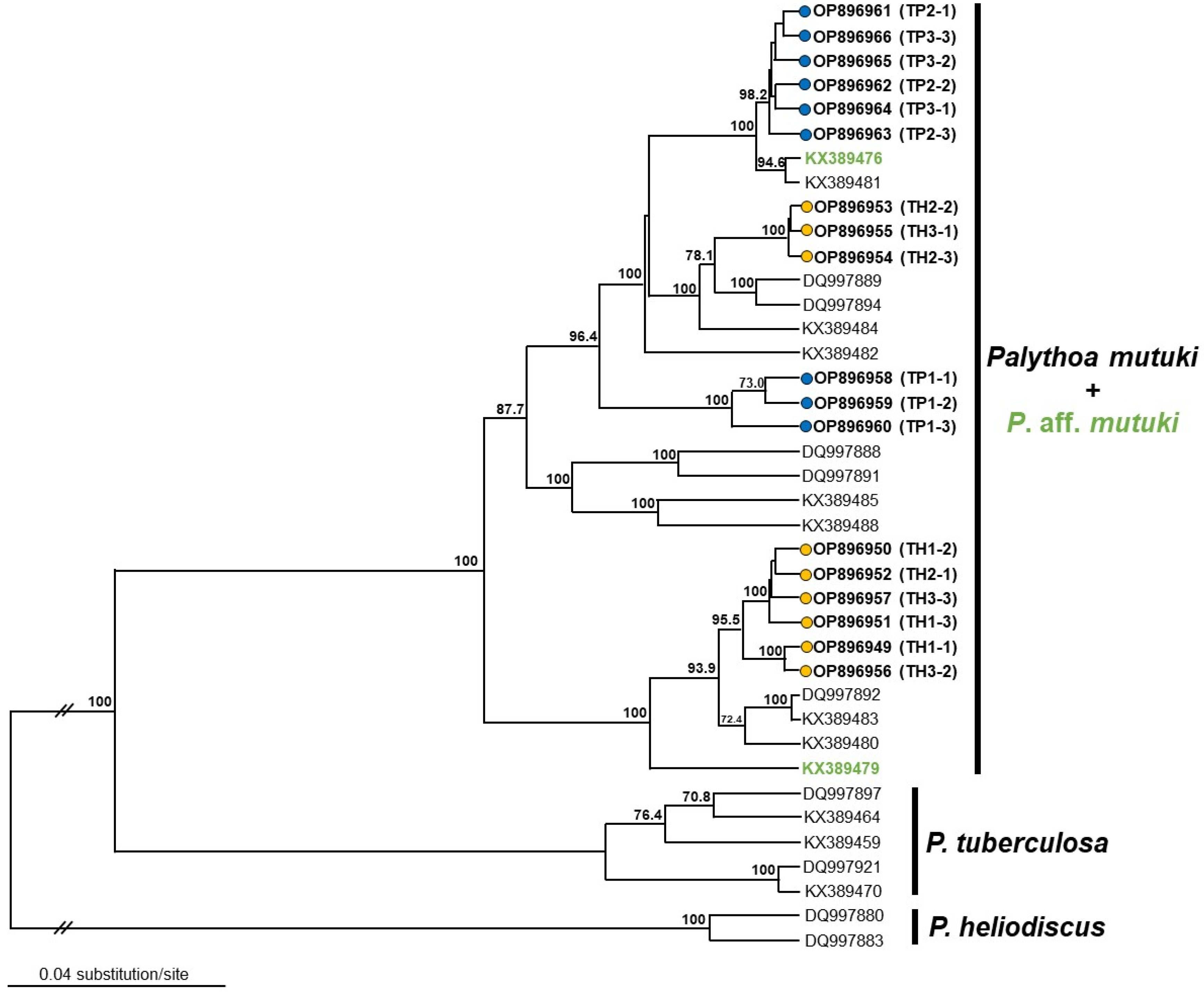 Jmse 11 00574 g003 Jmse 11 00574 g003