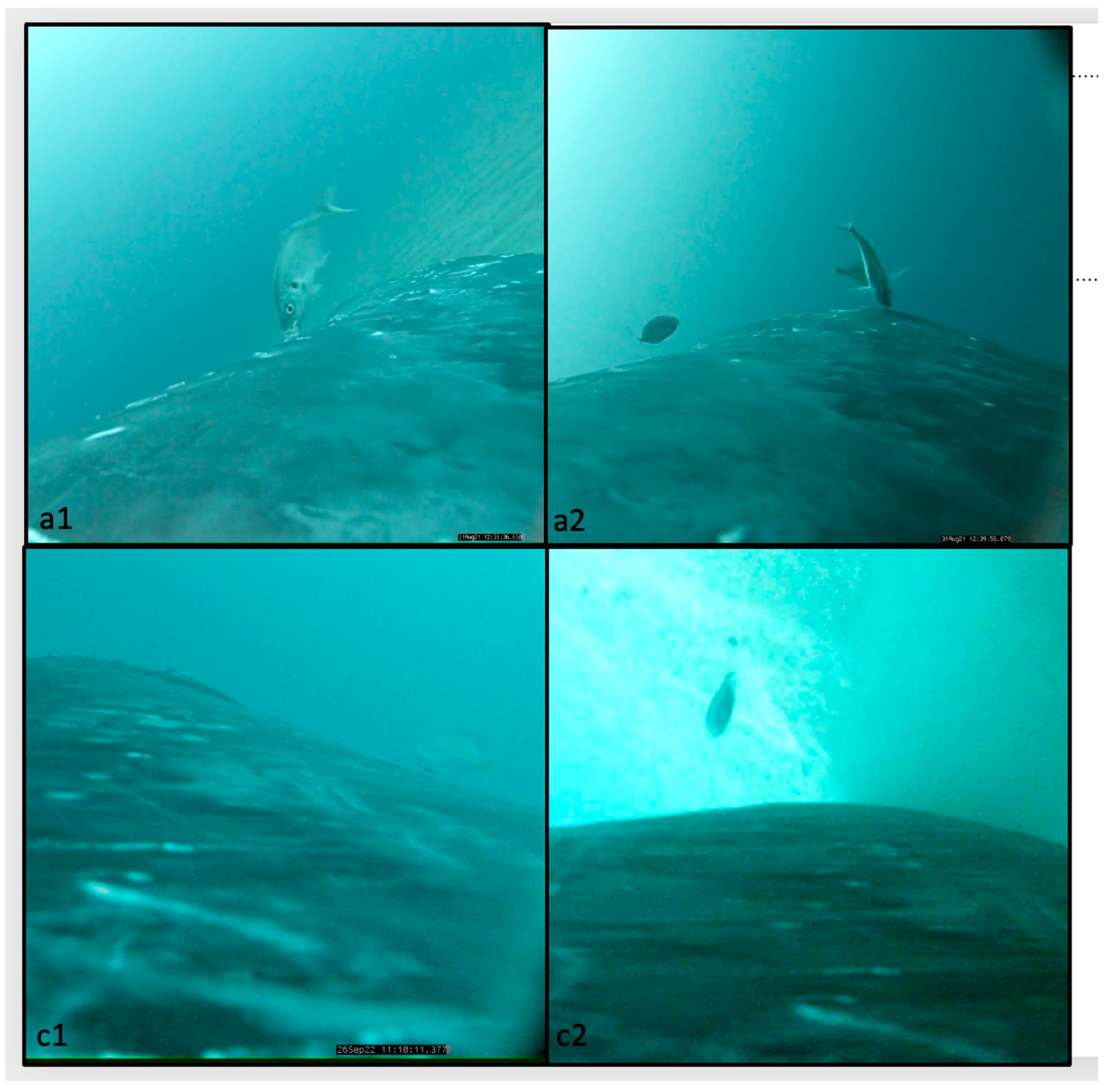 Jmse 11 00600 g003 Jmse 11 00600 g003