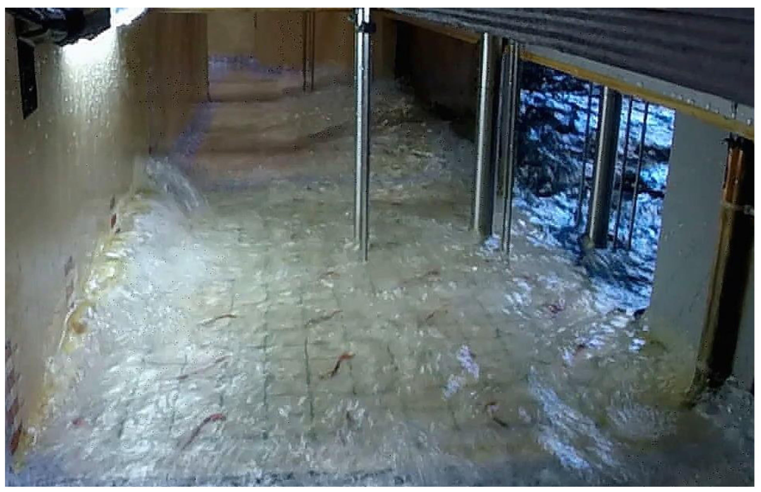 Jmse 11 00643 g005 Jmse 11 00643 g005