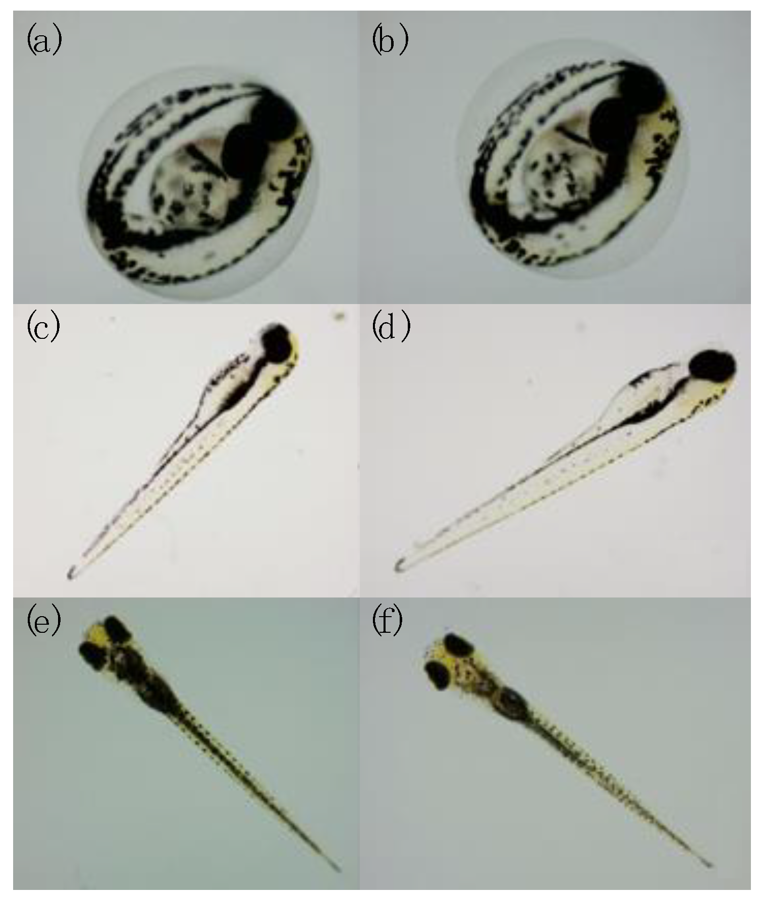 Jmse 11 00693 g002 Jmse 11 00693 g002