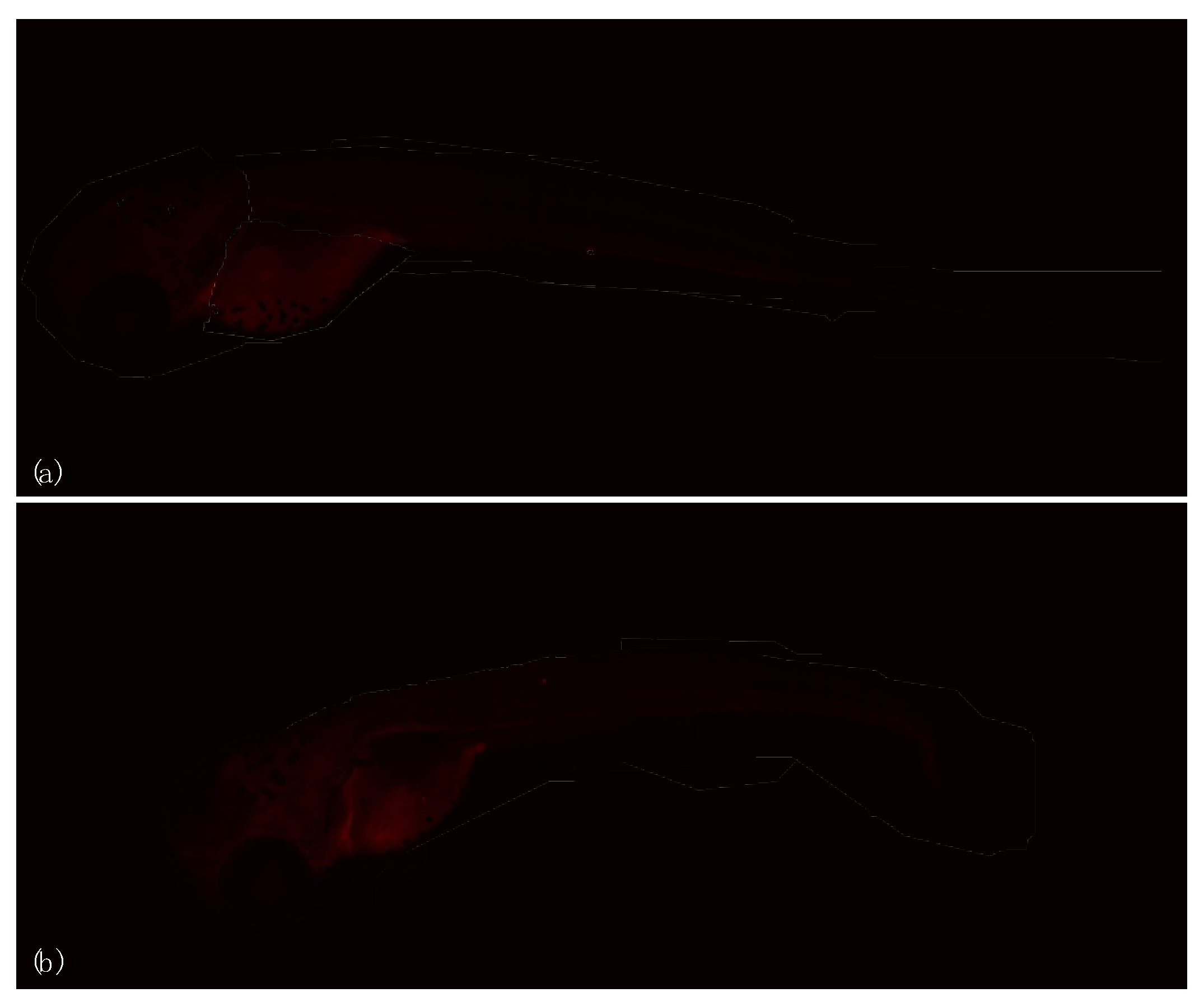 Jmse 11 00693 g006 Jmse 11 00693 g006