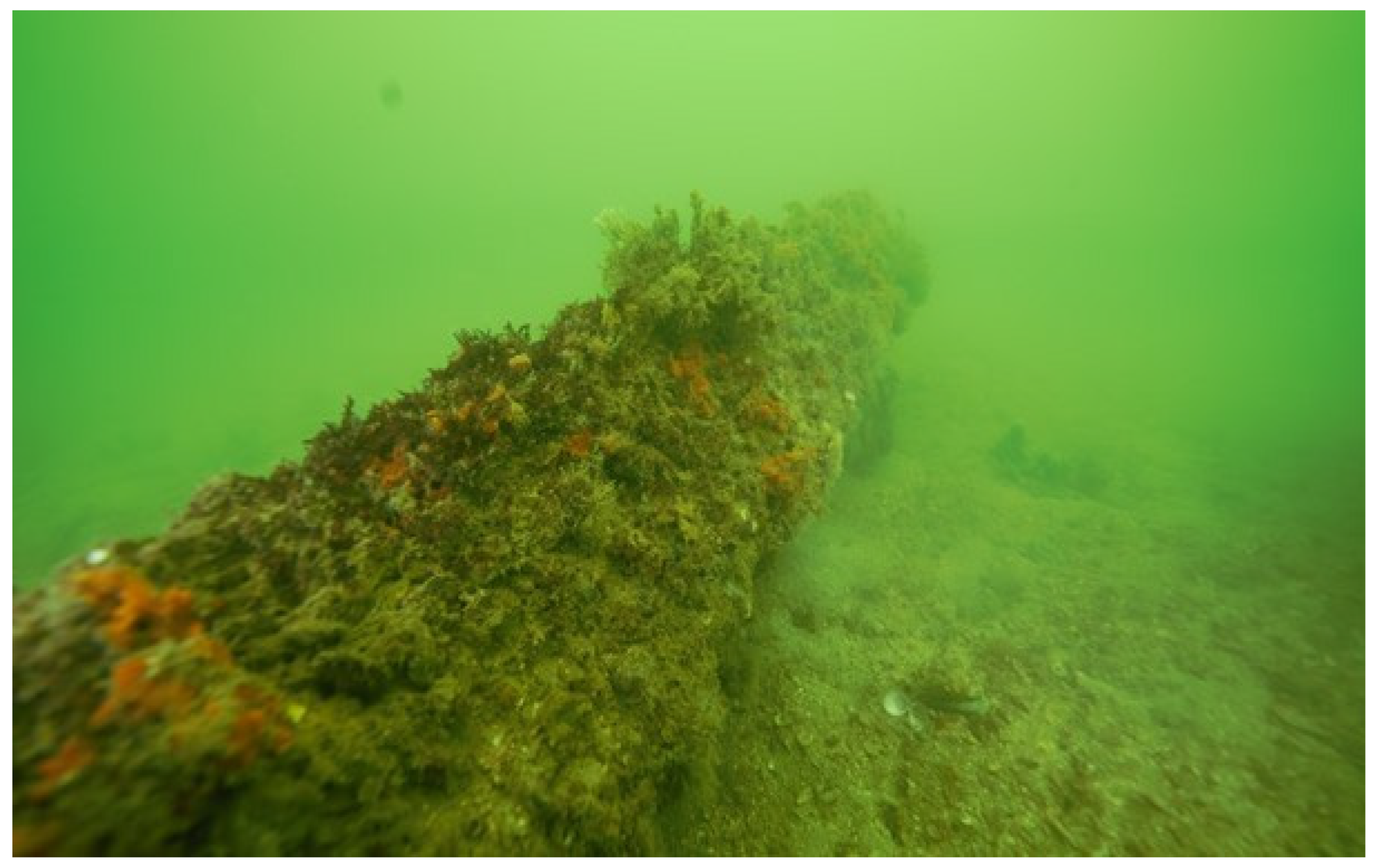 Jmse 11 00694 g002 Jmse 11 00694 g002