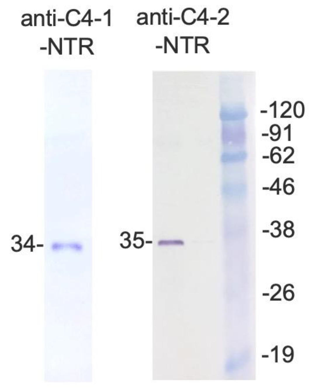 Jmse 11 00707 g003 Jmse 11 00707 g003