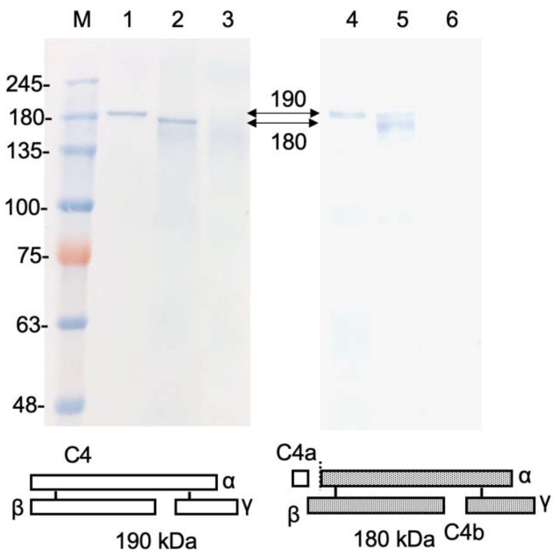 Jmse 11 00707 g006 Jmse 11 00707 g006