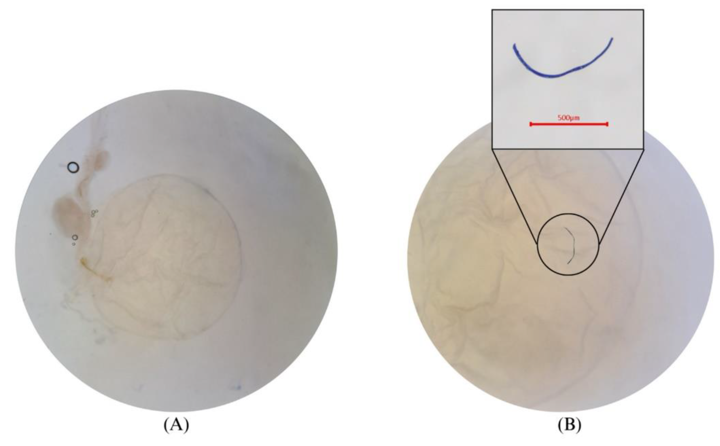 Jmse 11 00723 g007 Jmse 11 00723 g007